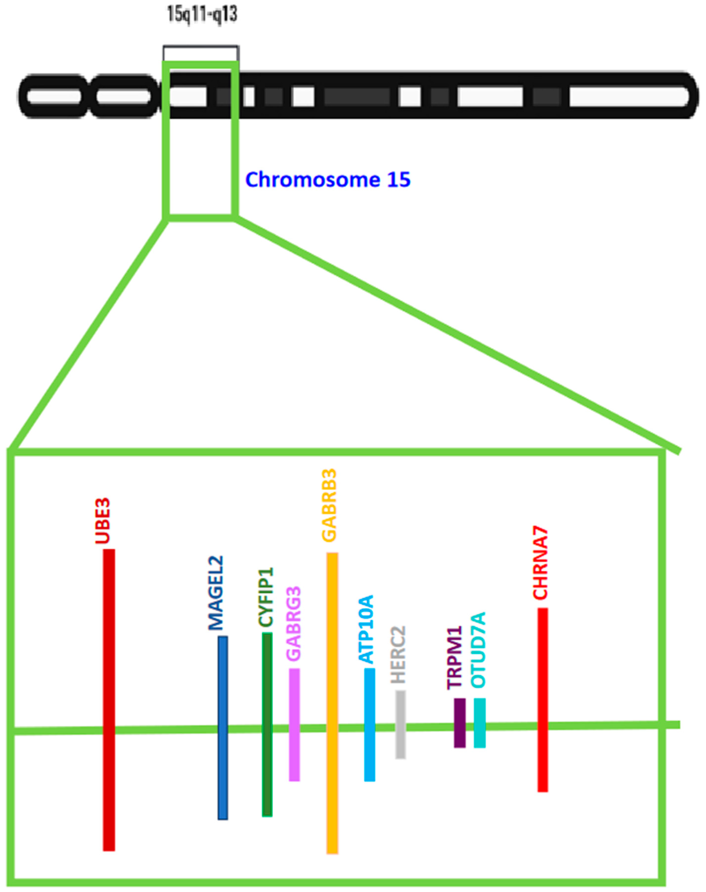Diseases 12 00007 g002