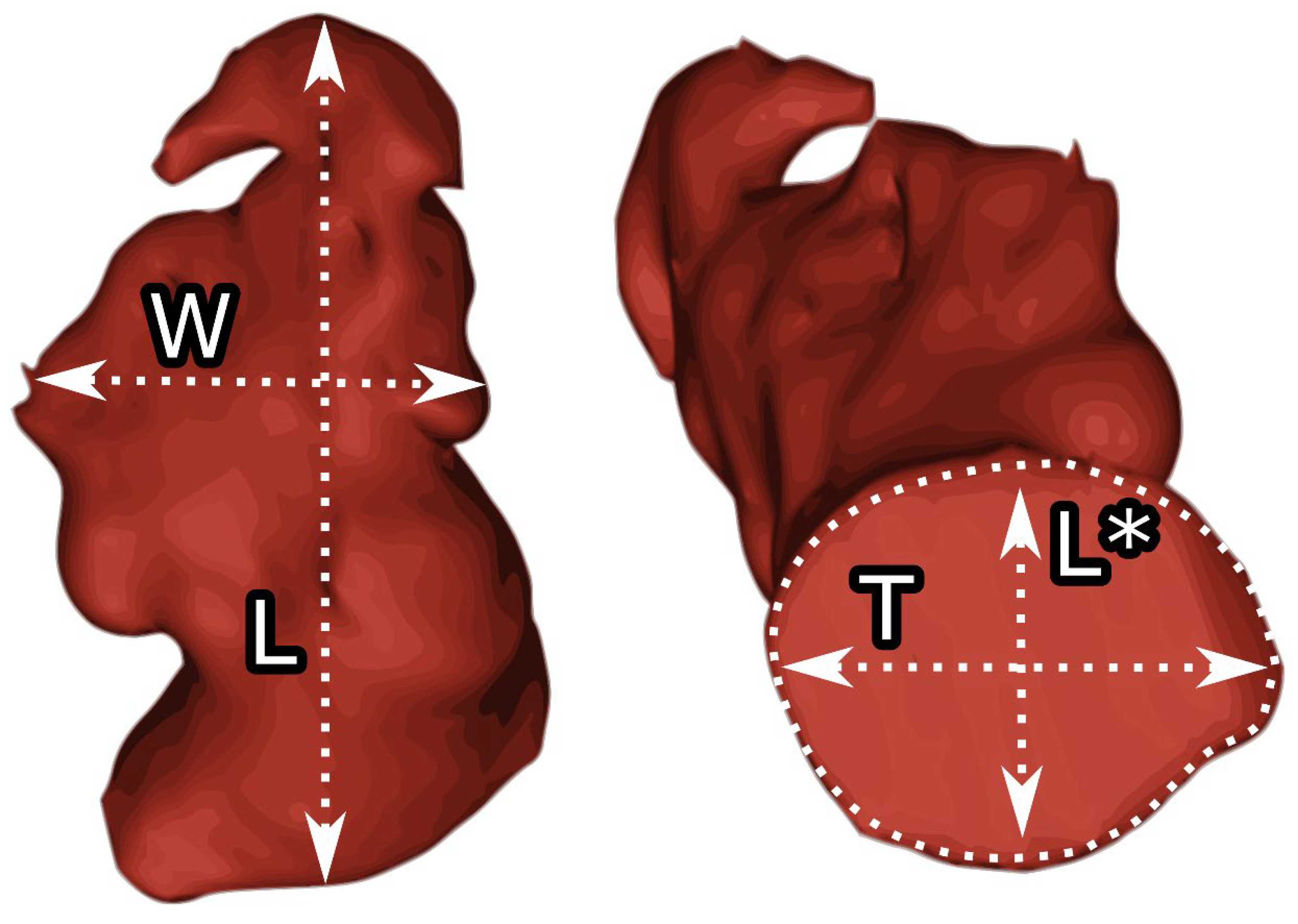 Diseases 12 00008 g001