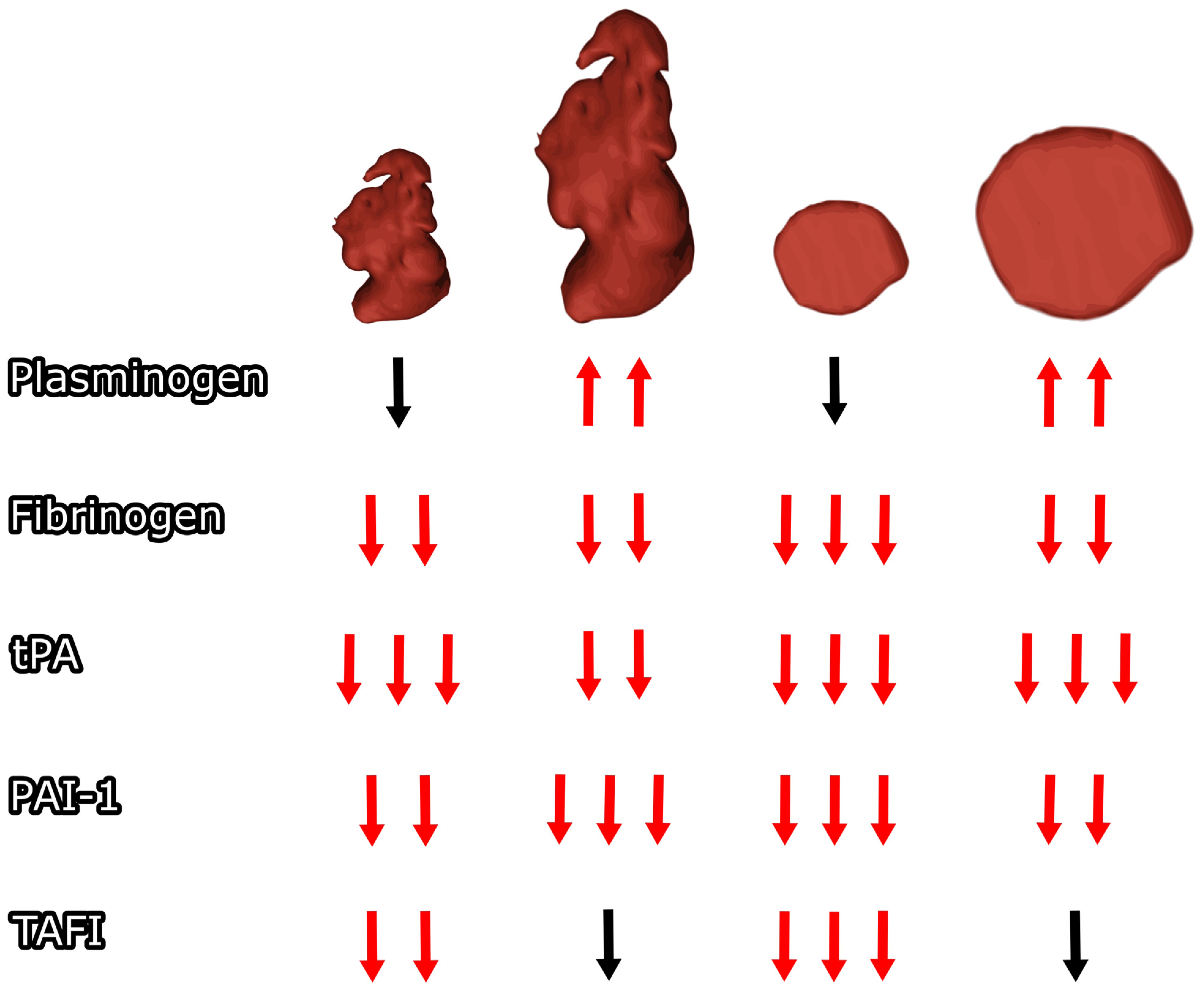 Diseases 12 00008 g002