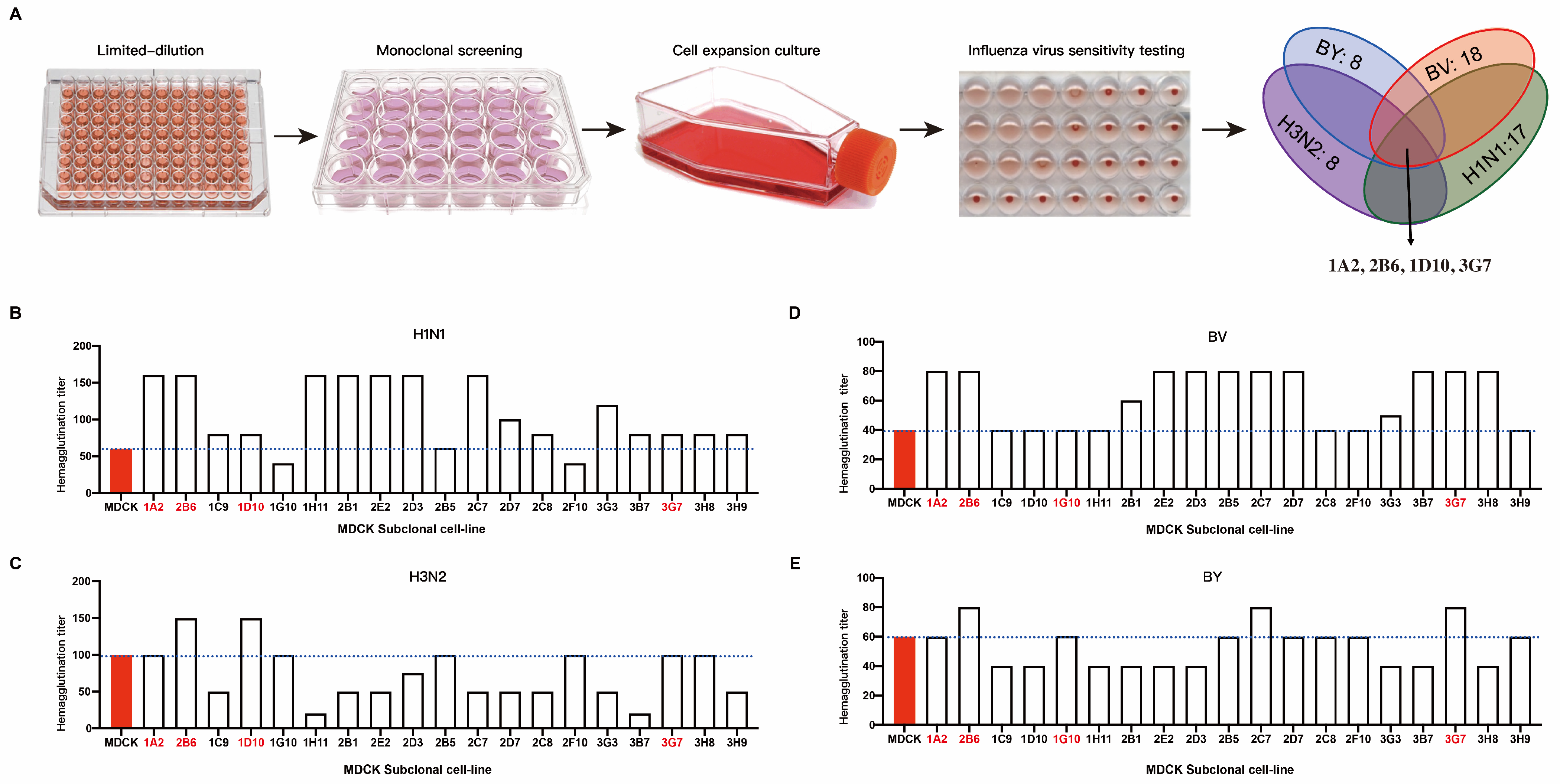 Diseases 12 00020 g001