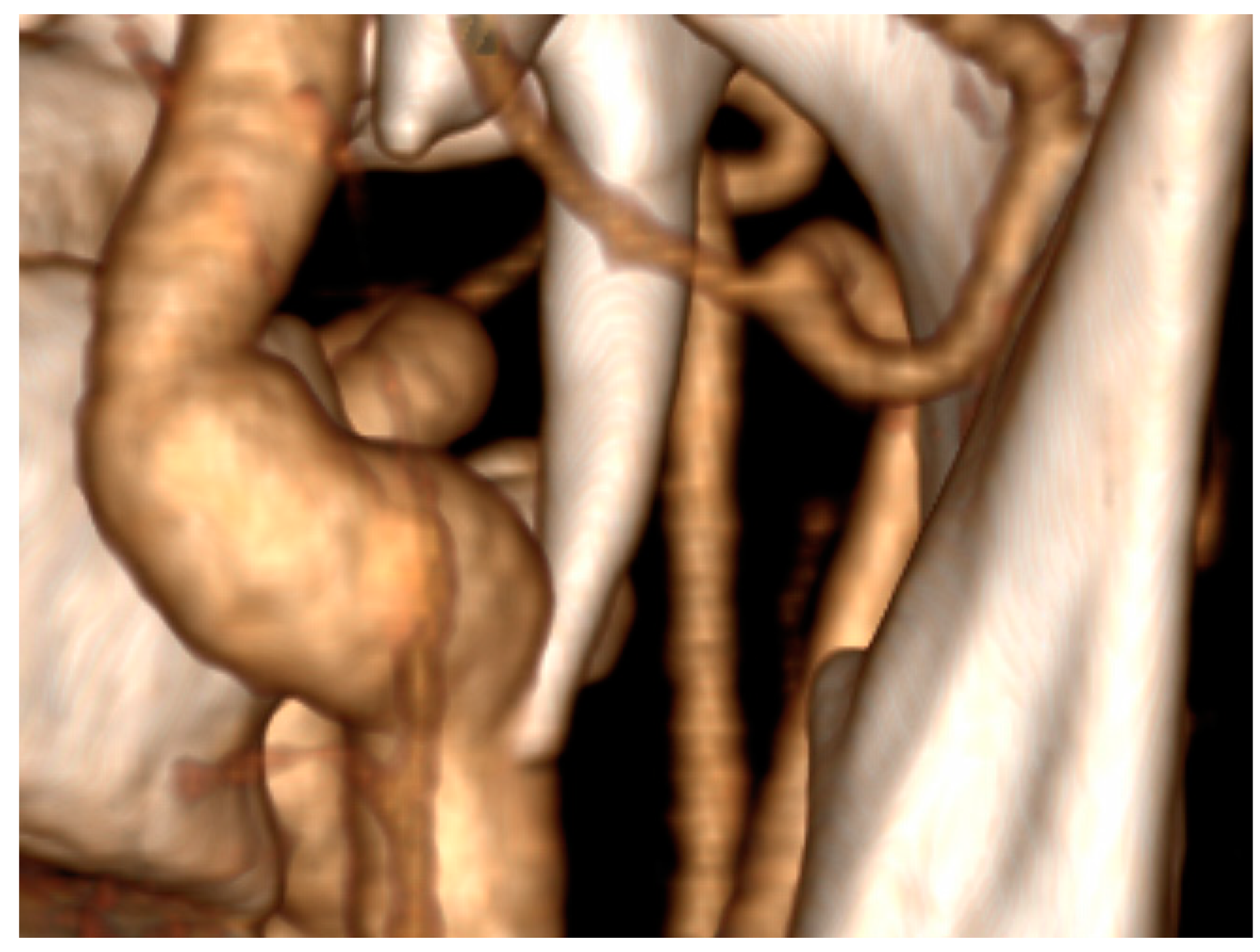 Diseases 12 00024 g002