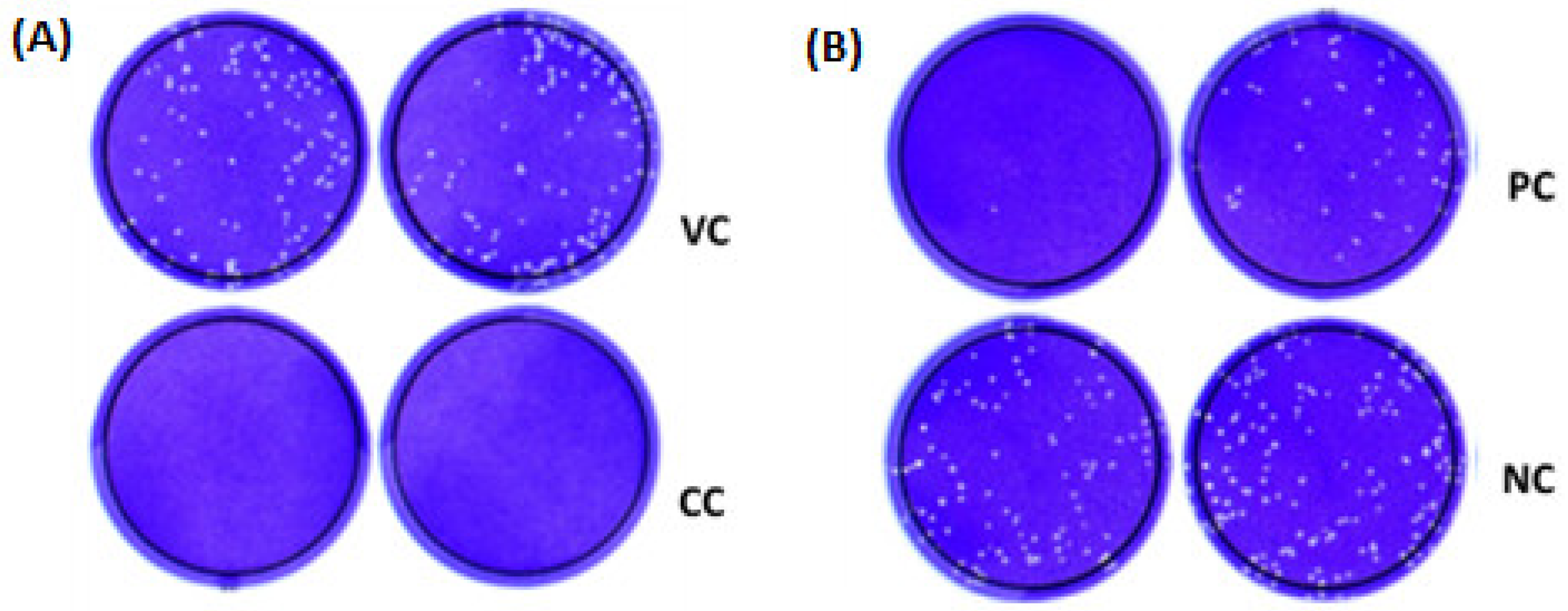 Diseases 12 00029 g002