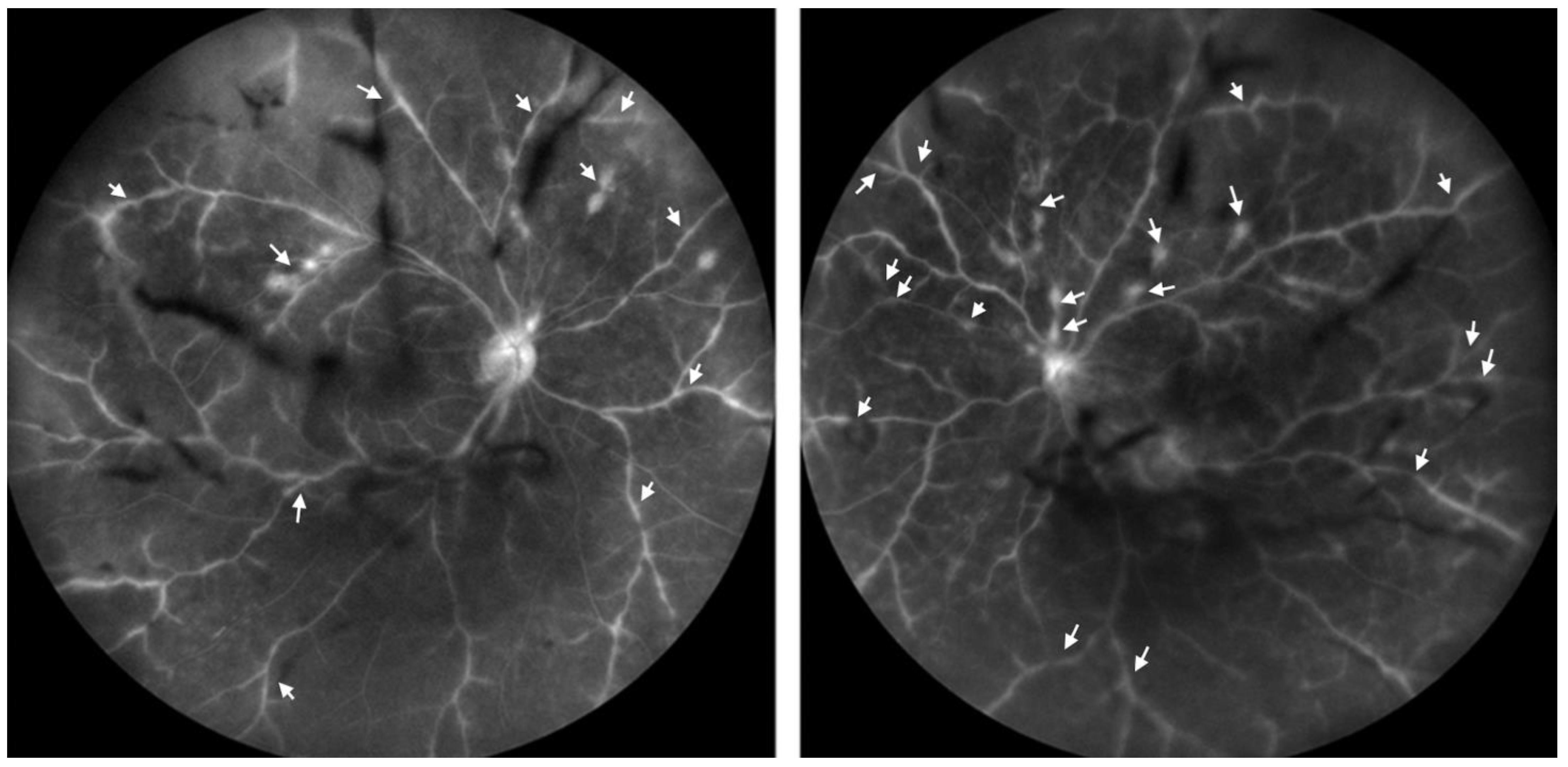 Diseases 12 00036 g002