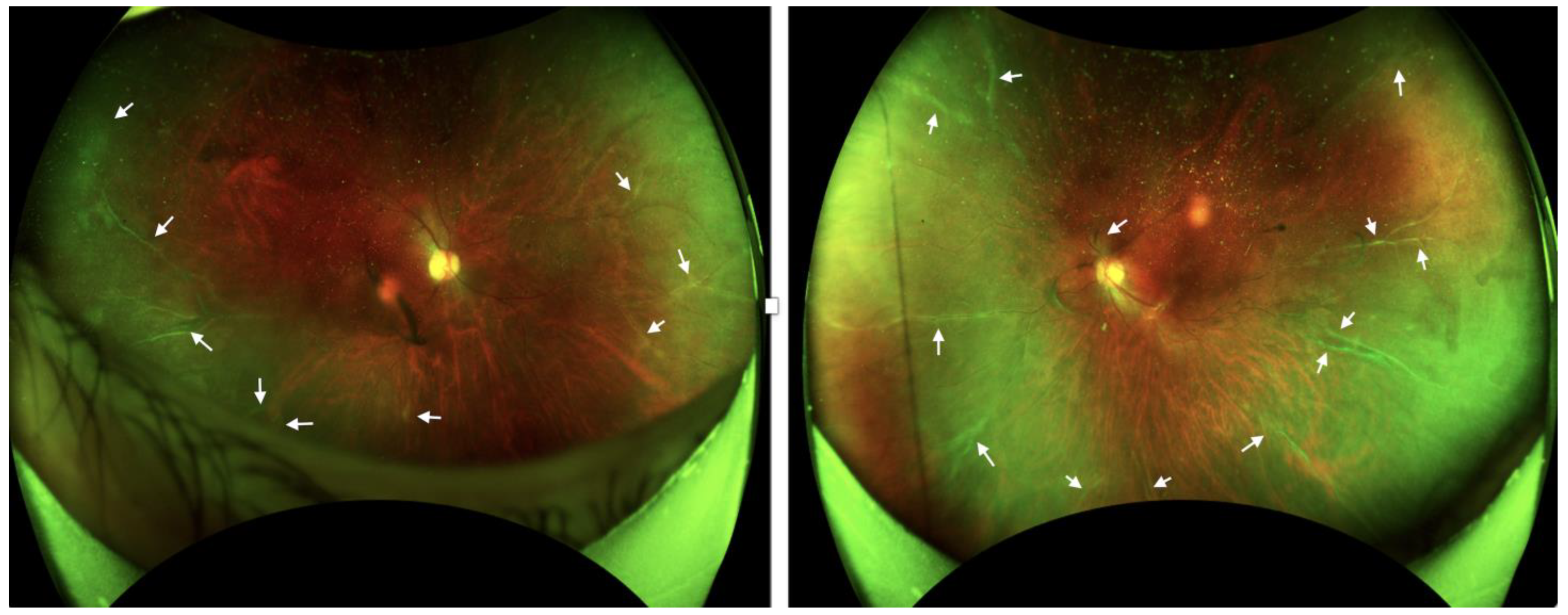 Diseases 12 00036 g003