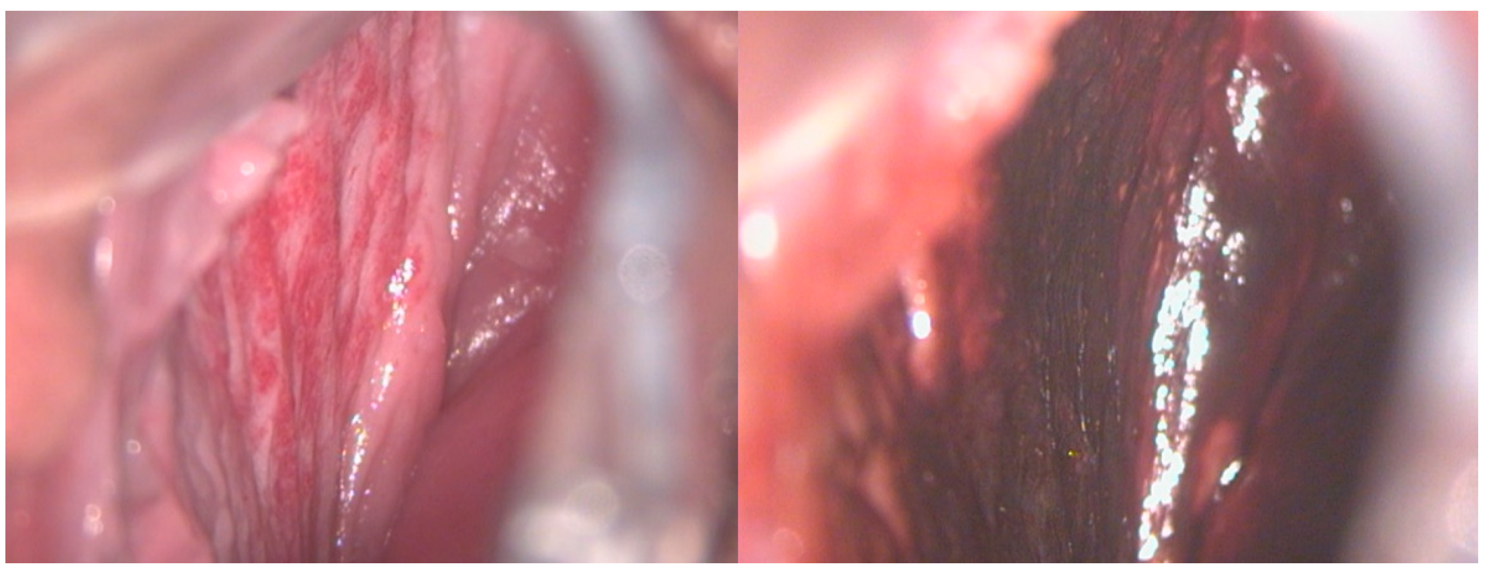 Diseases 12 00048 g002