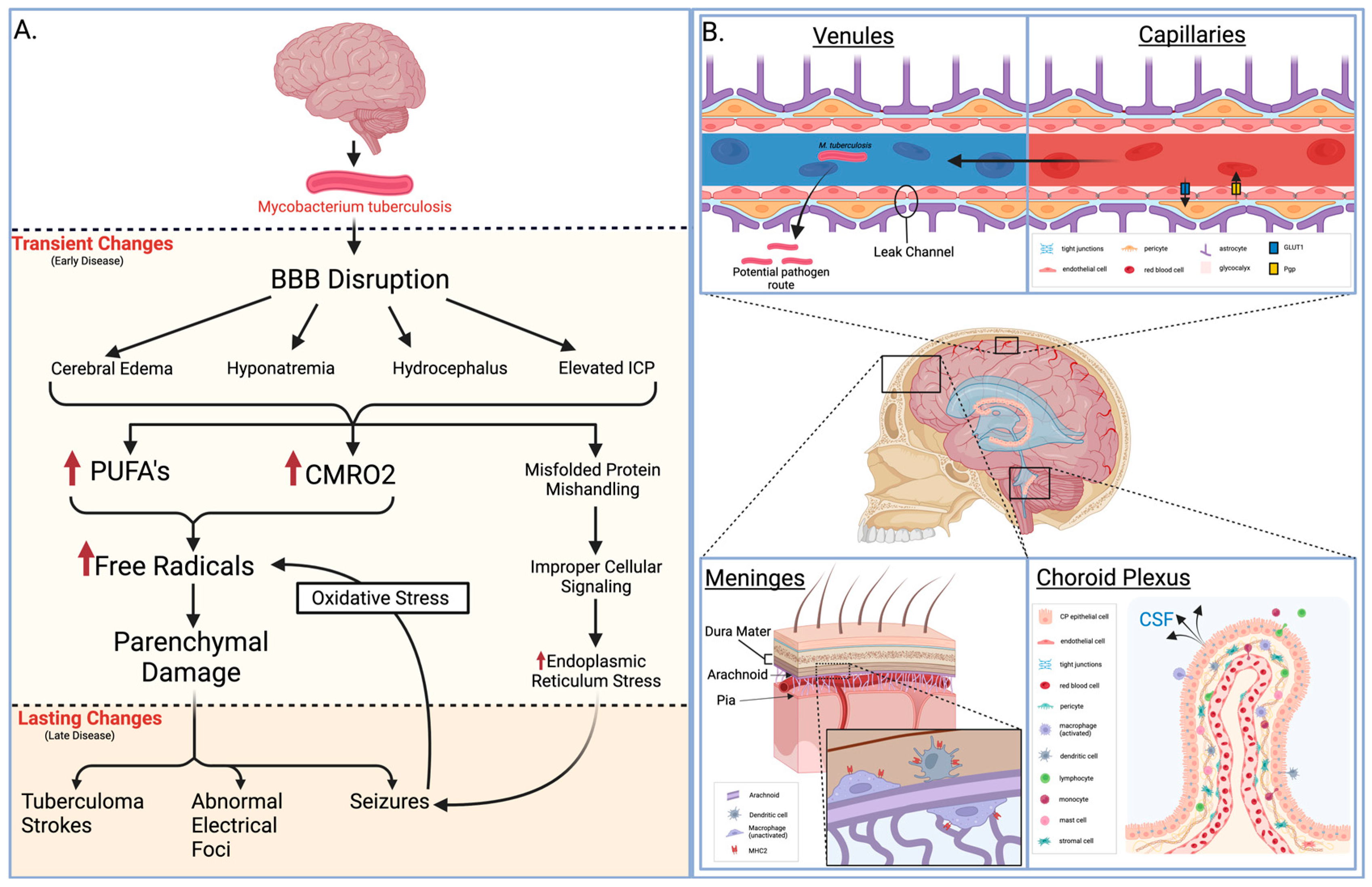 Diseases 12 00050 g001