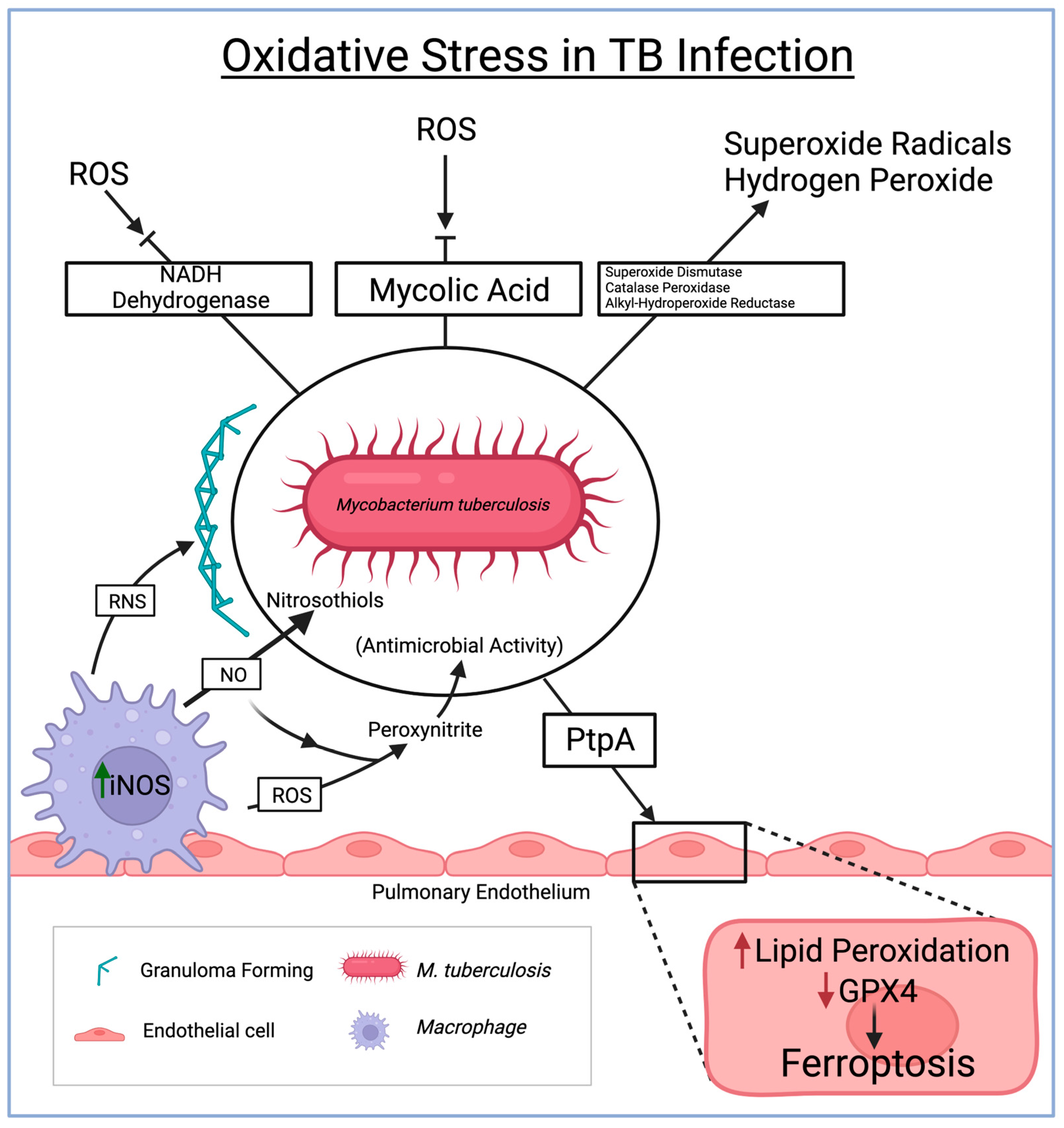 Diseases 12 00050 g002
