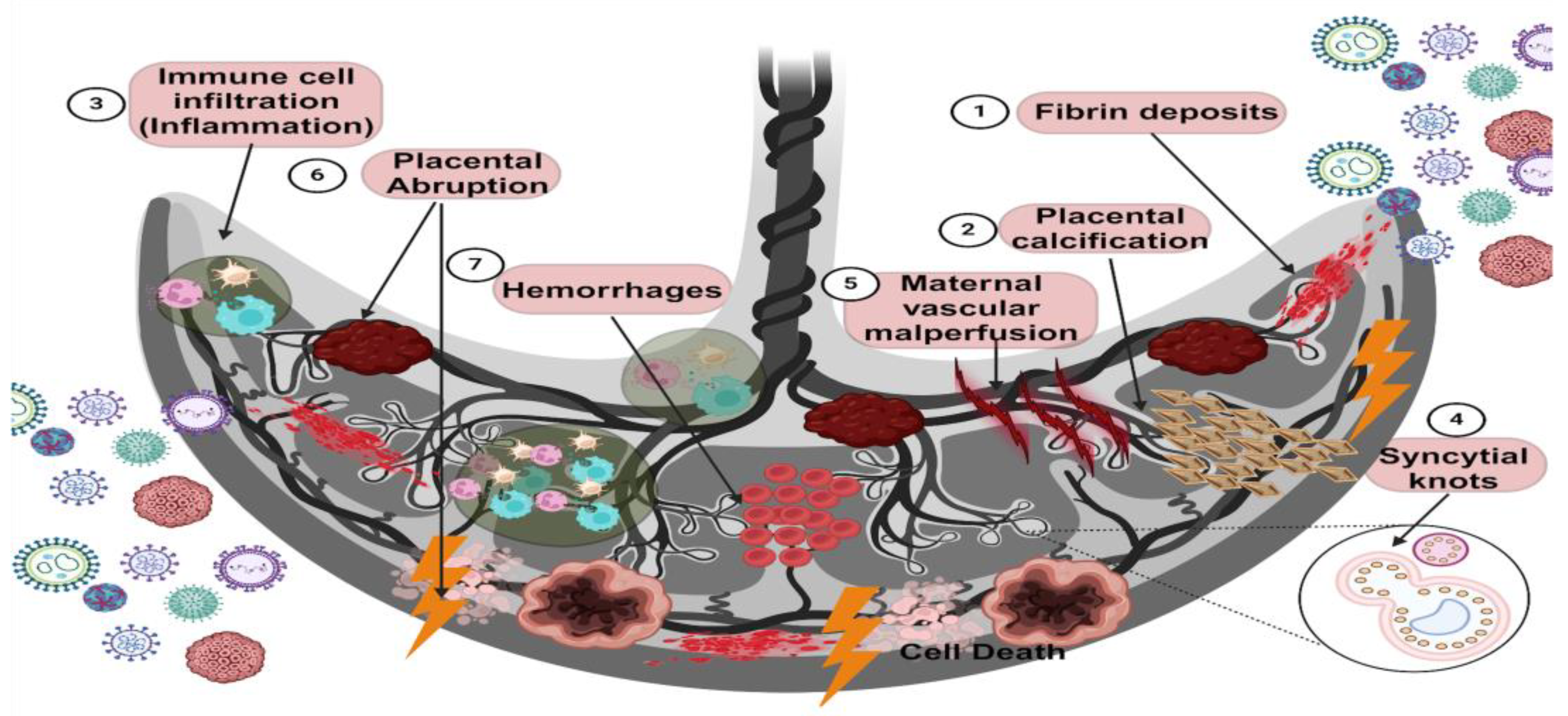 Diseases 12 00059 g003 Diseases 12 00059 g003