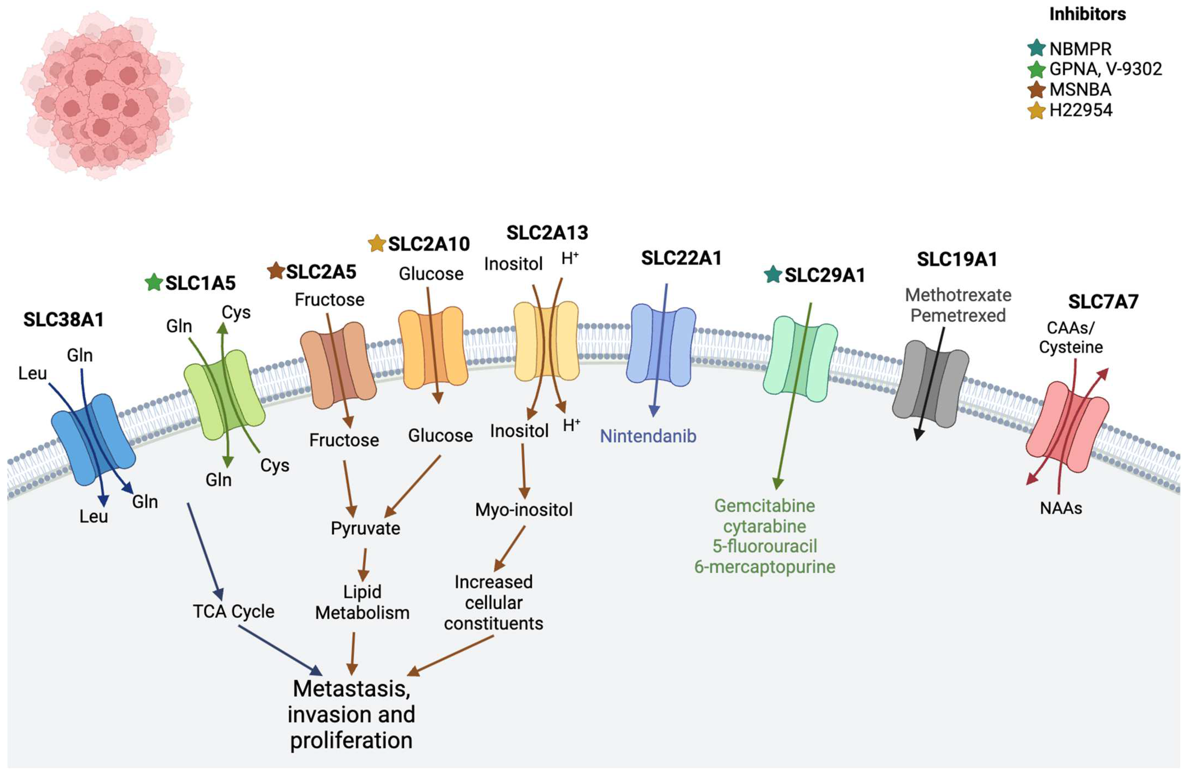 Diseases 12 00063 g003 Diseases 12 00063 g003