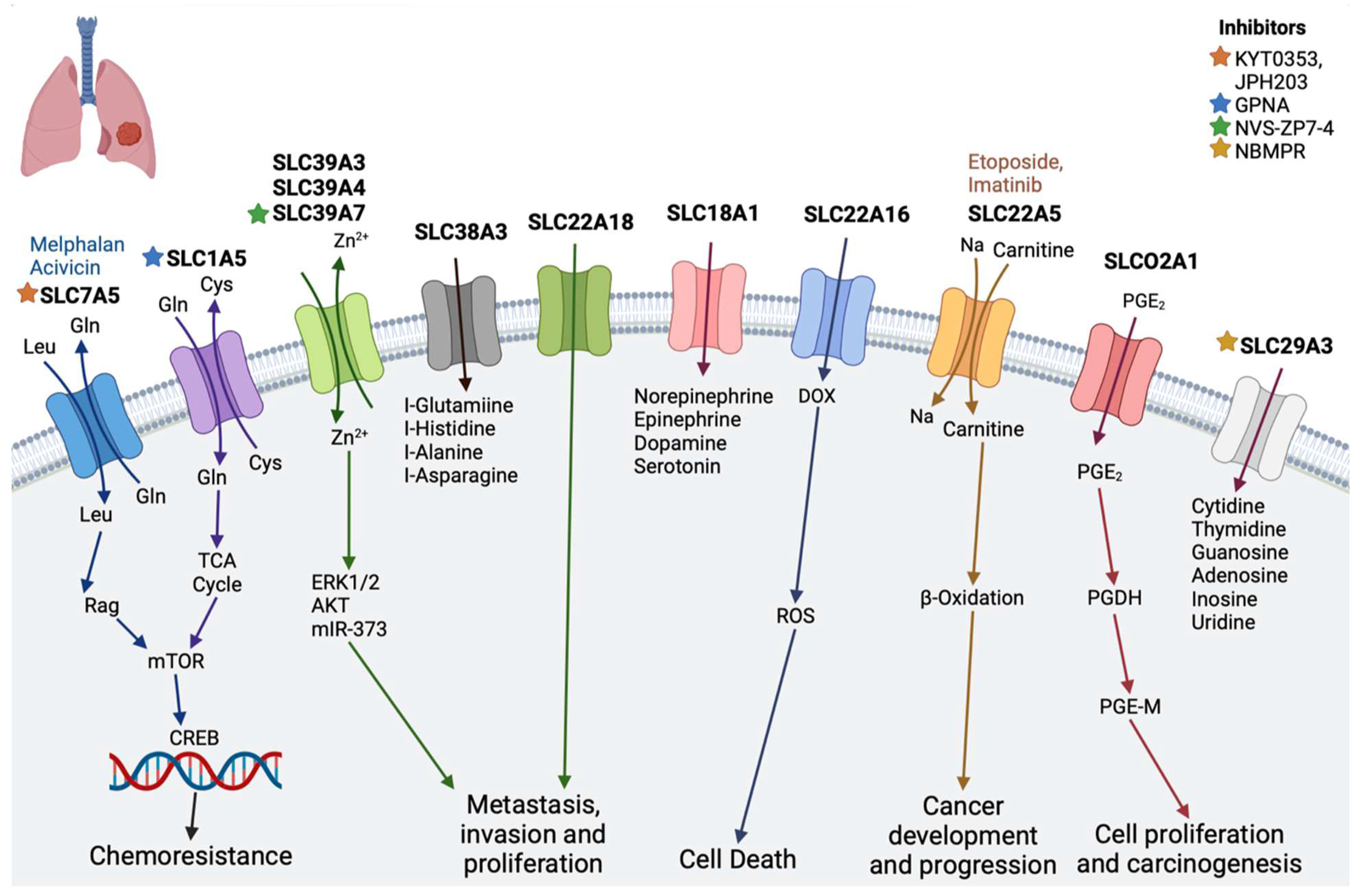 Diseases 12 00063 g005 Diseases 12 00063 g005