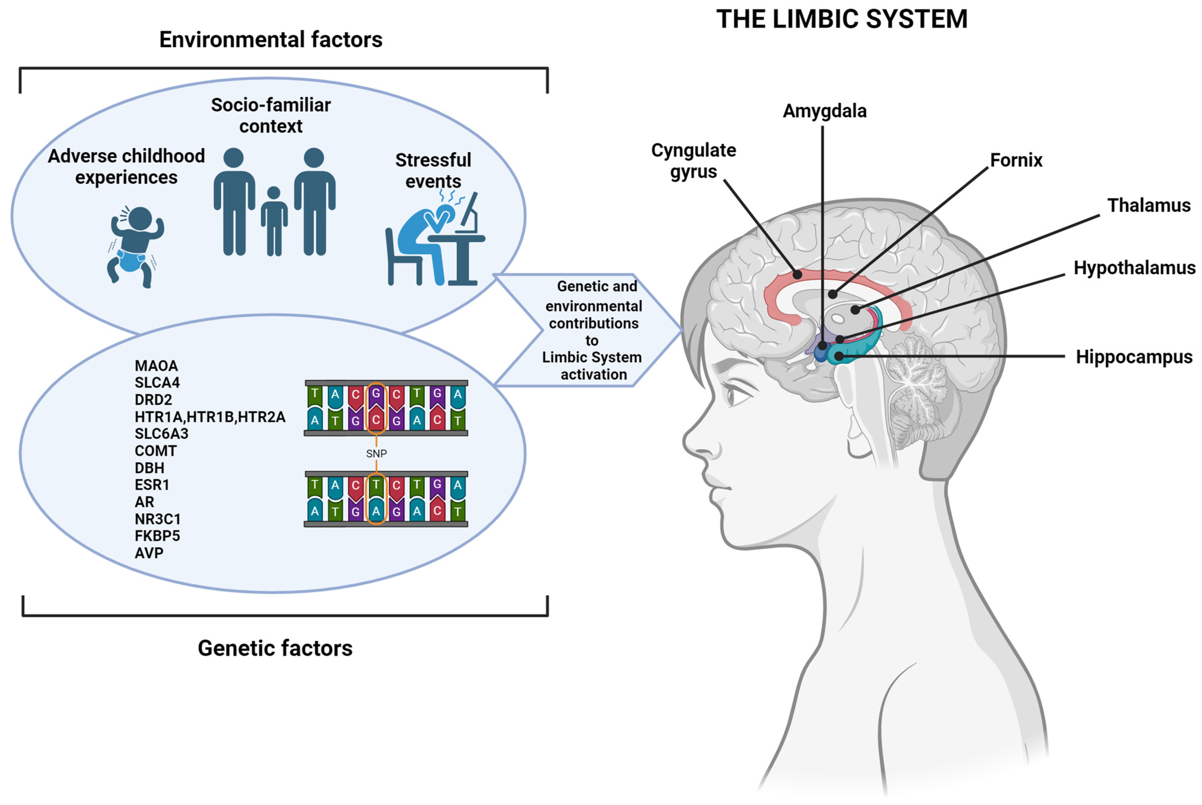 Diseases 12 00070 g001