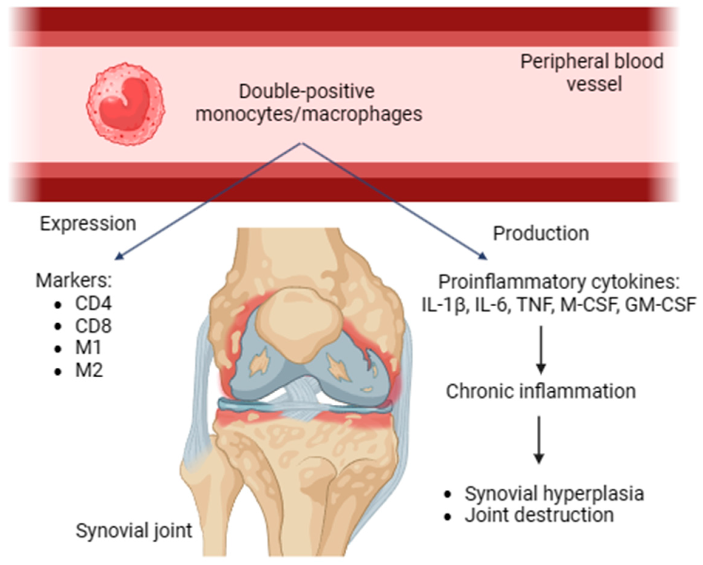 Diseases 12 00081 g001 Diseases 12 00081 g001