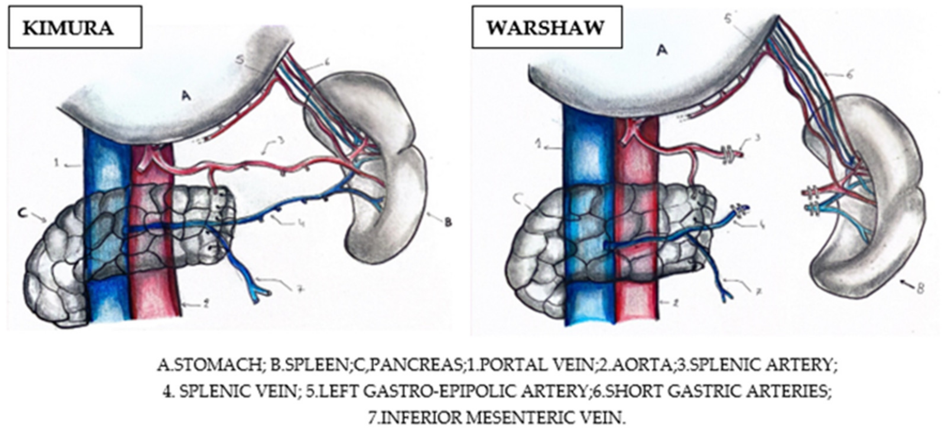 Diseases 12 00086 g005