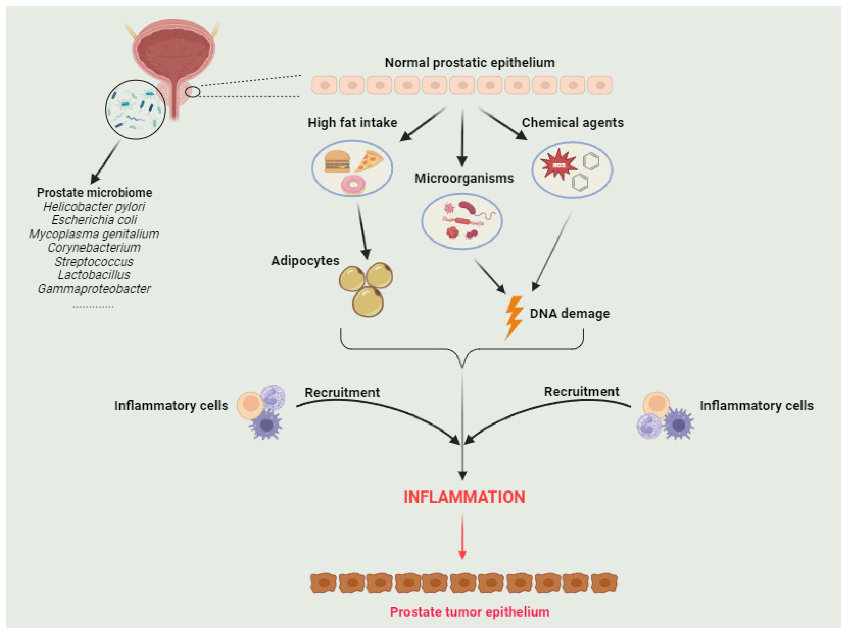 Diseases 12 00087 g002