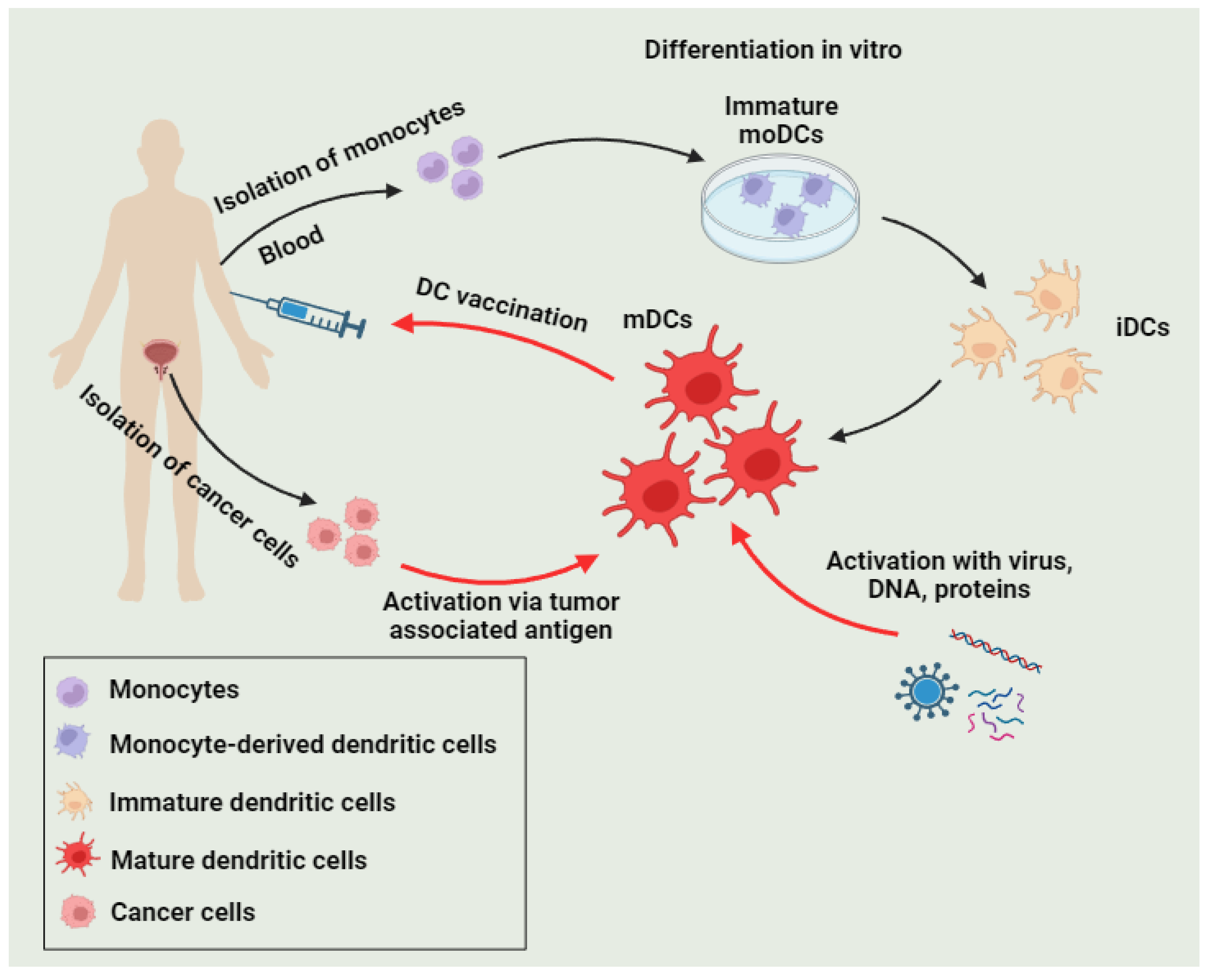 Diseases 12 00087 g004