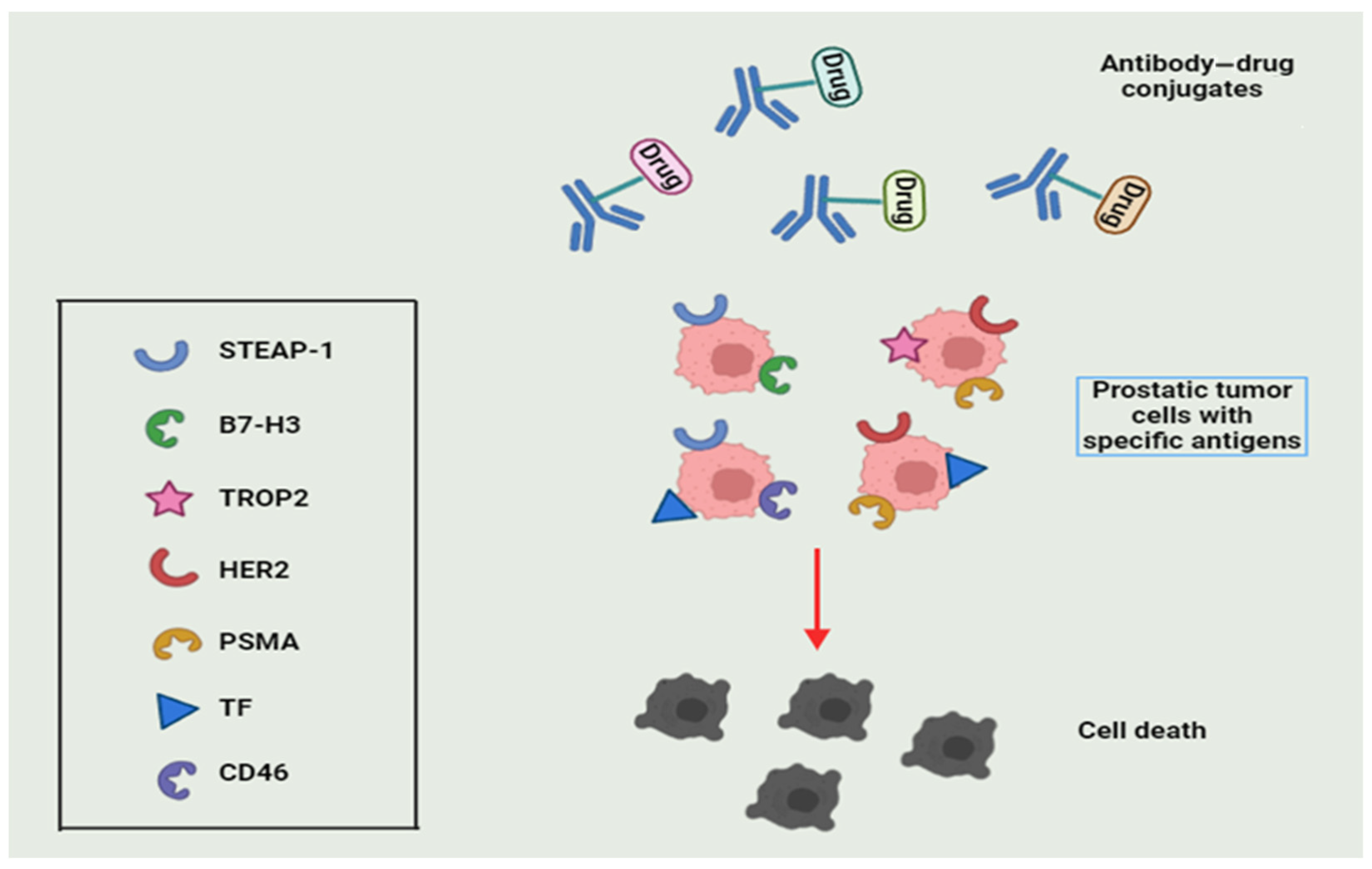 Diseases 12 00087 g005