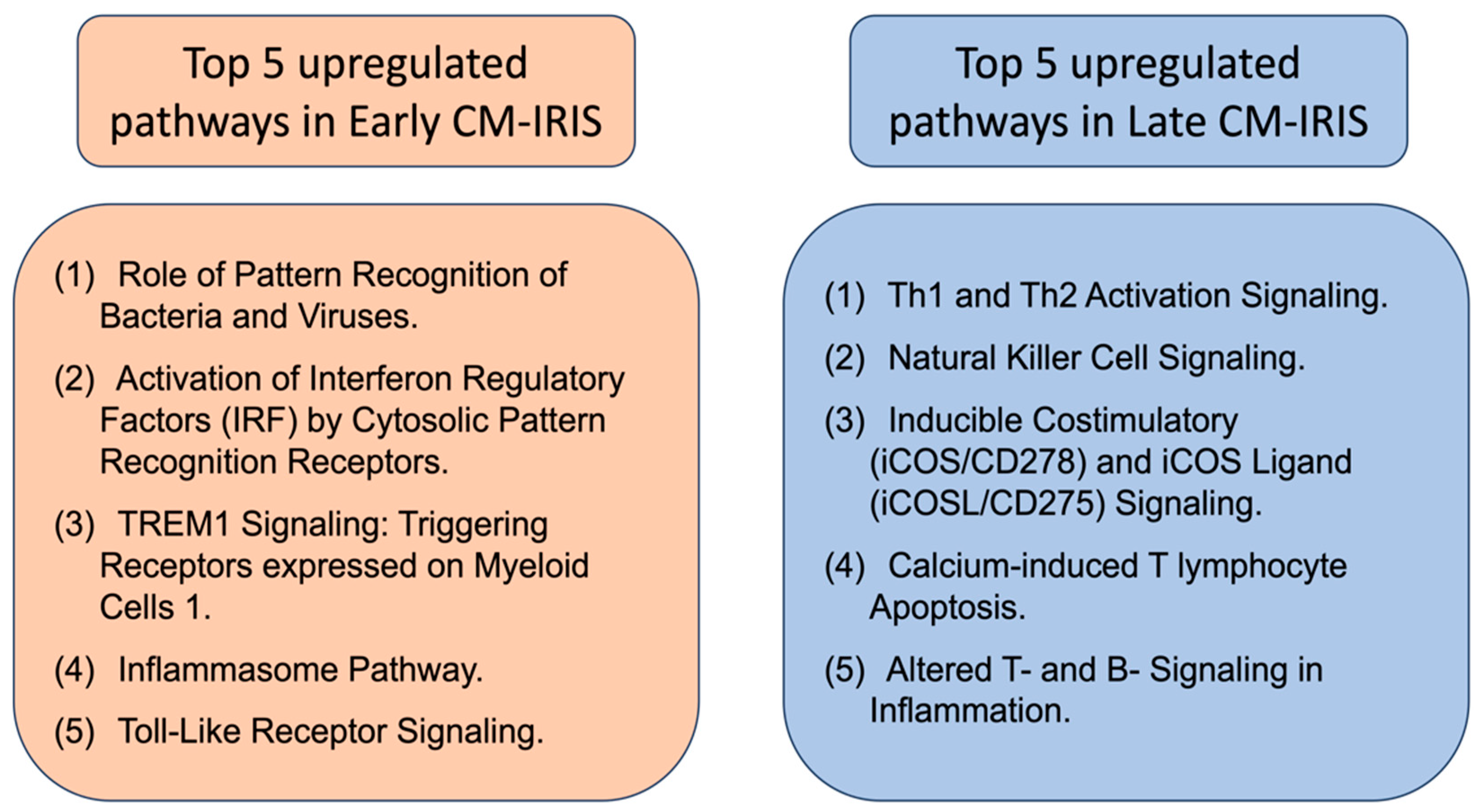 Diseases 12 00101 g002