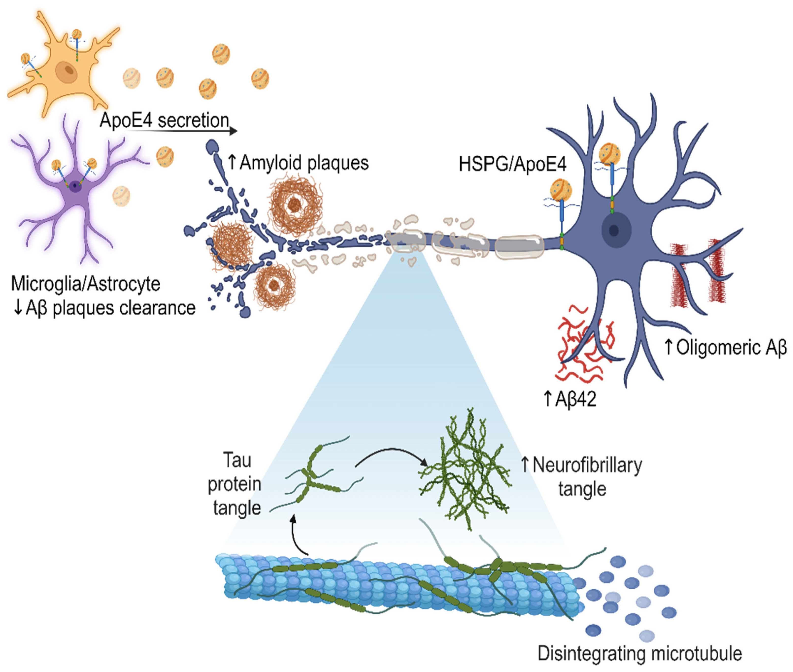Diseases 12 00110 g002