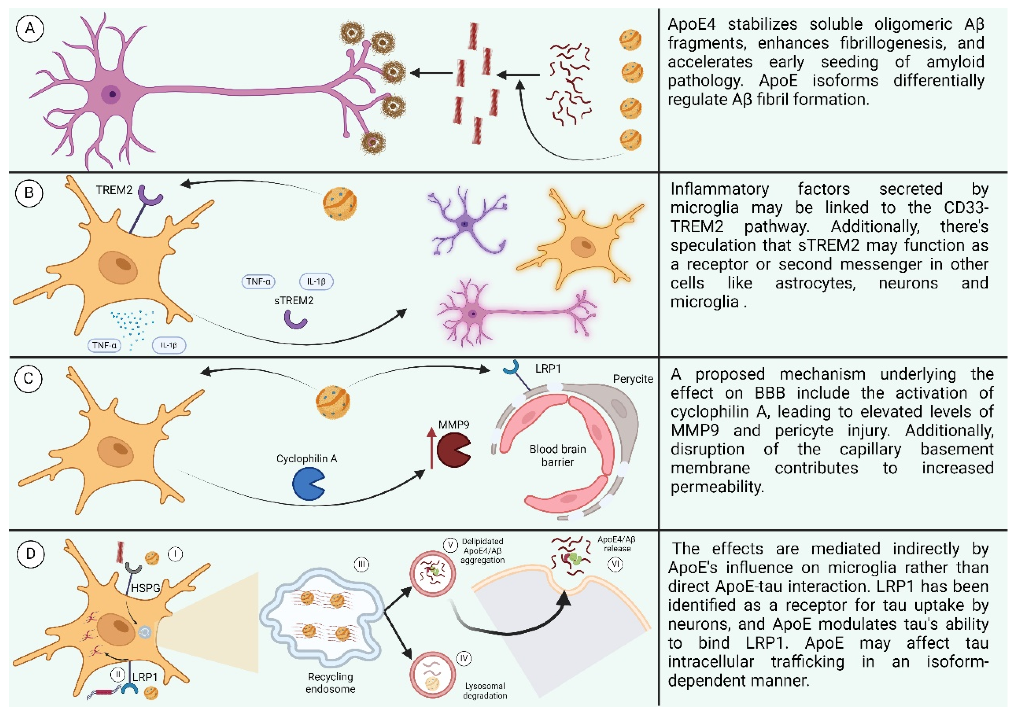 Diseases 12 00110 g007