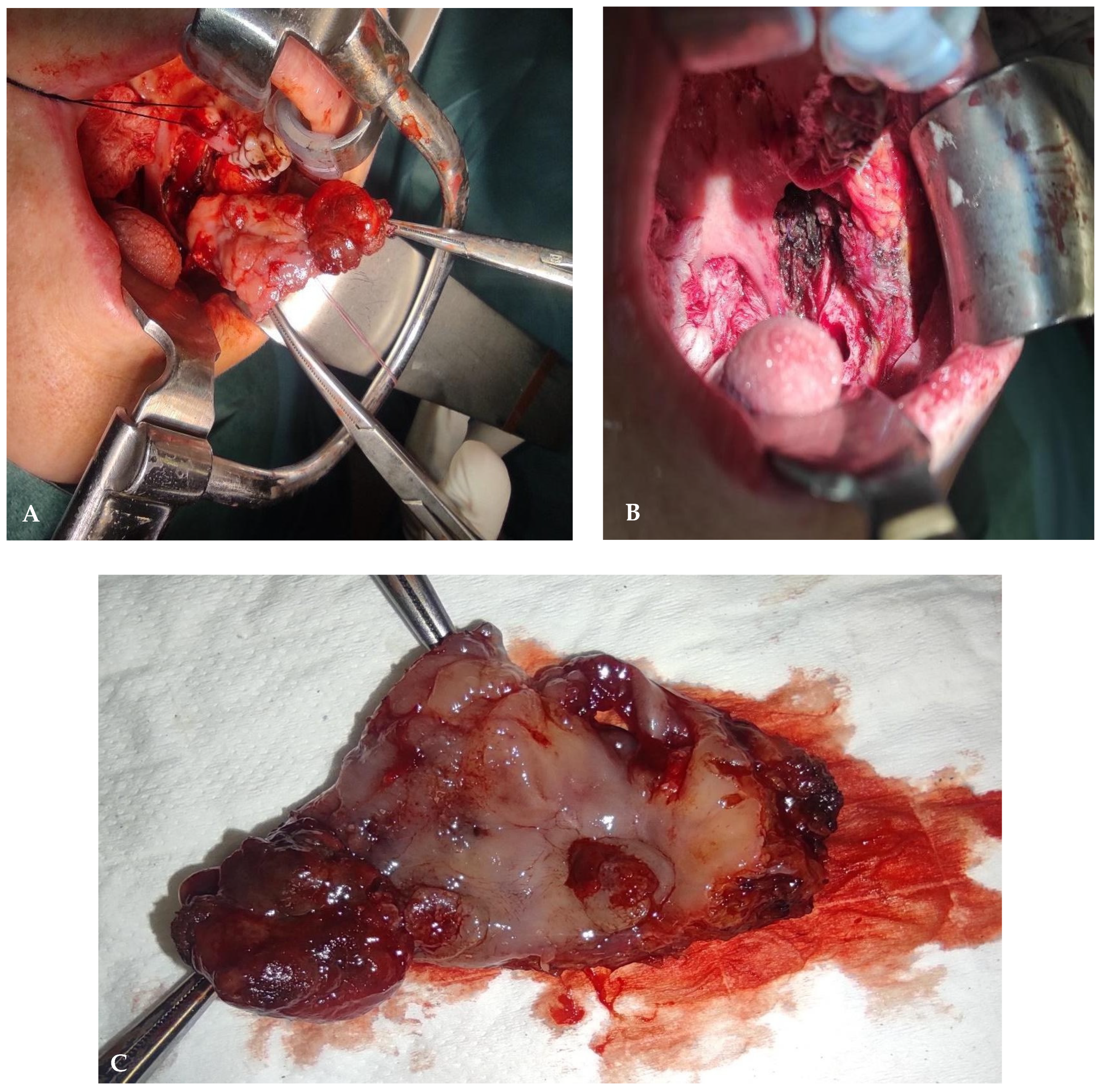 Diseases 12 00117 g004