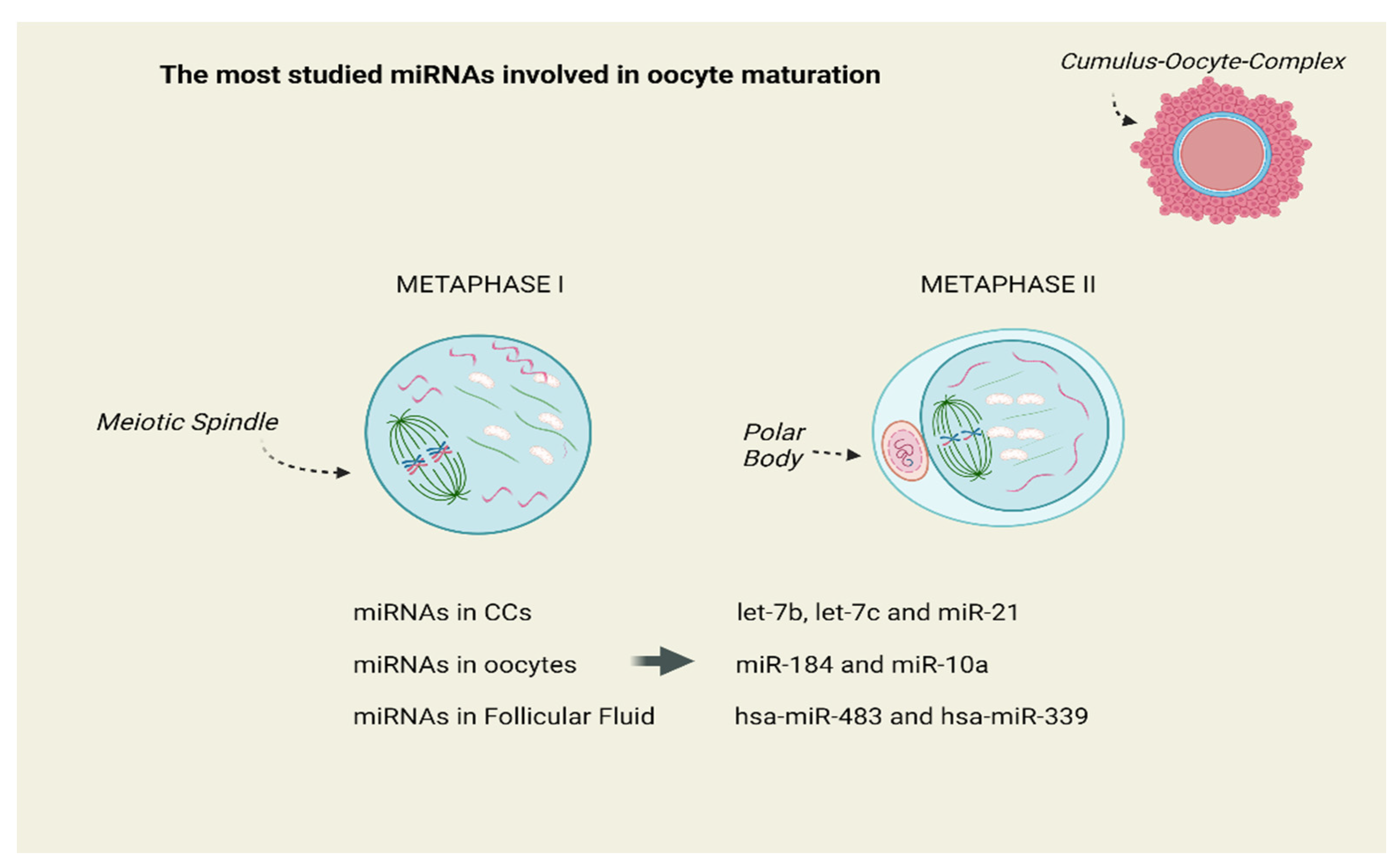 Diseases 12 00121 g003