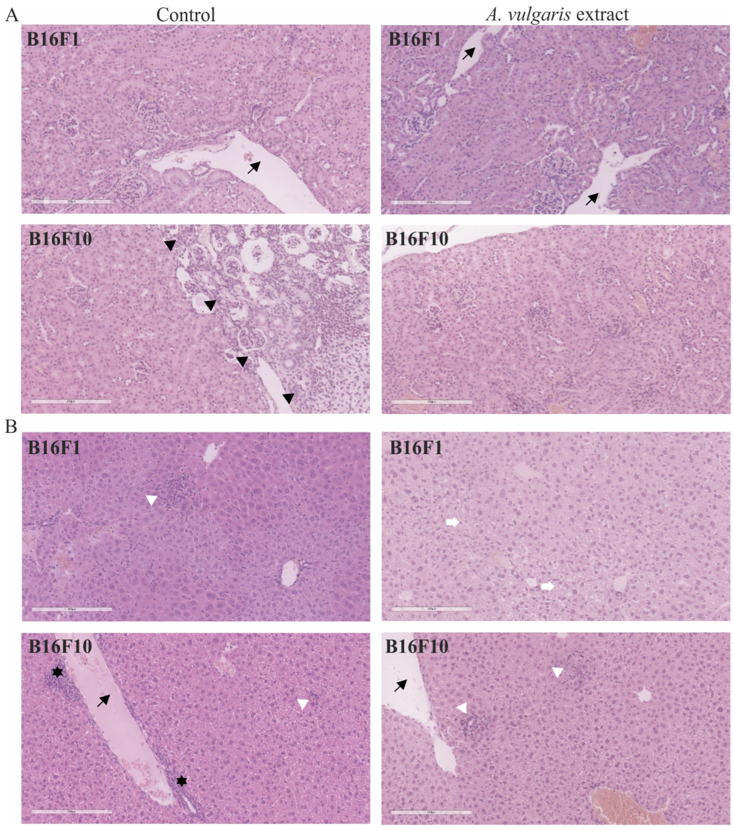 Diseases 12 00125 g006