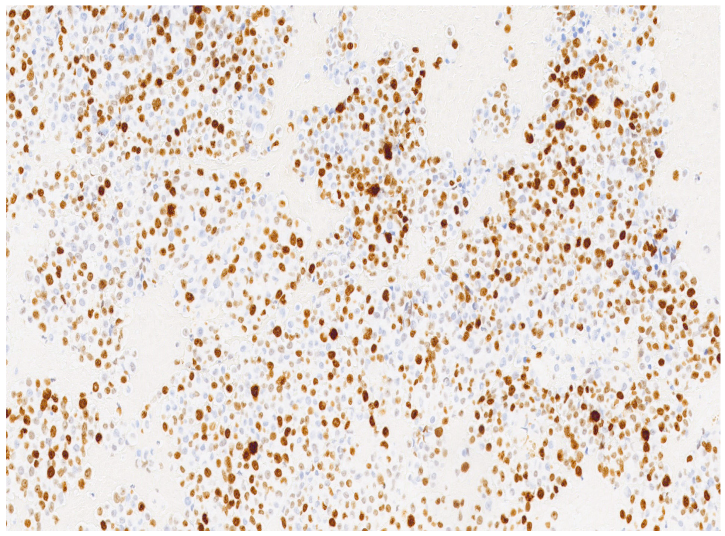 Diseases 12 00126 g003