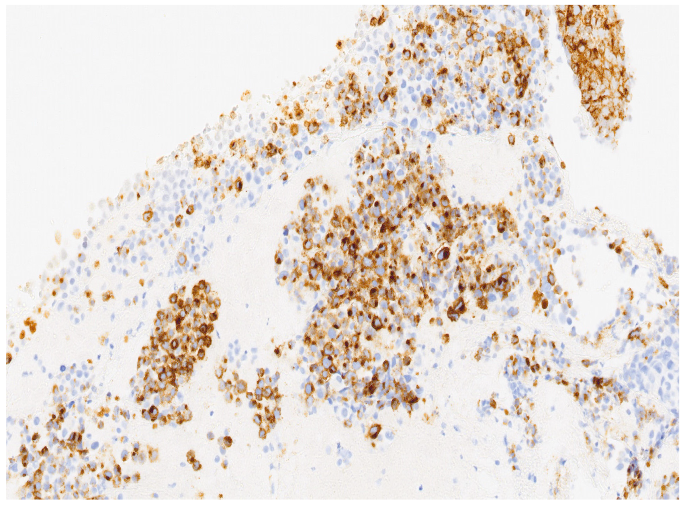 Diseases 12 00126 g004