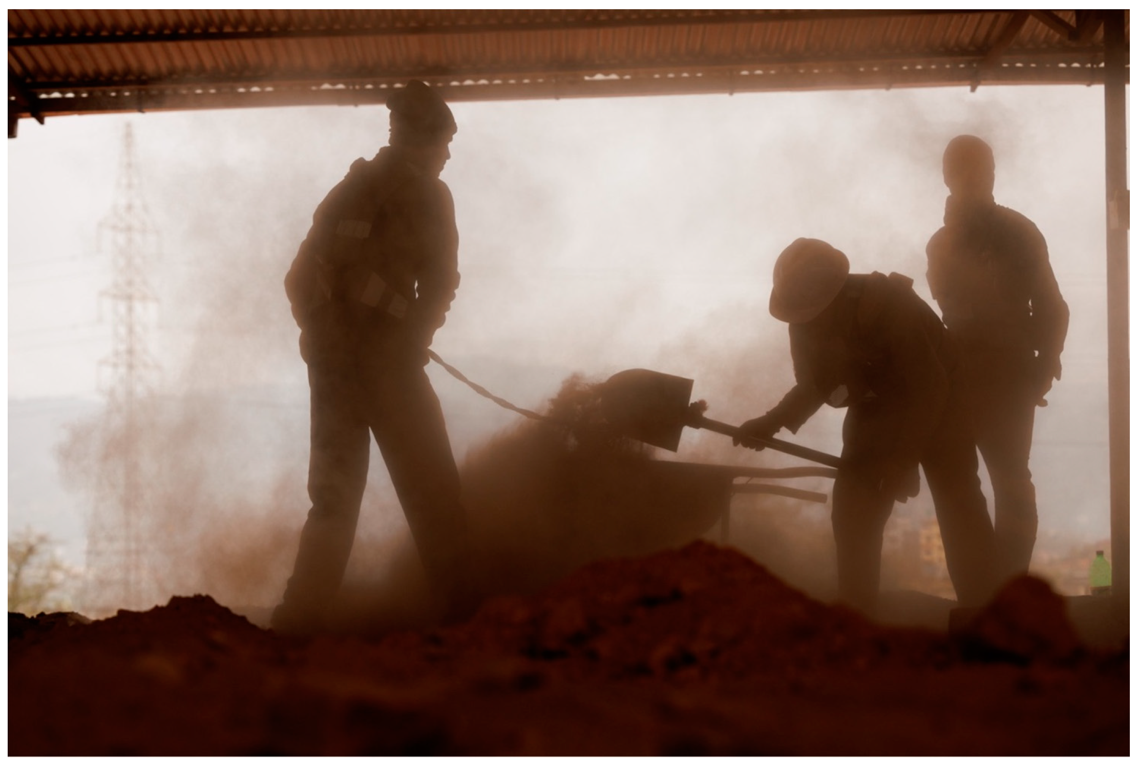 Diseases 12 00129 g001