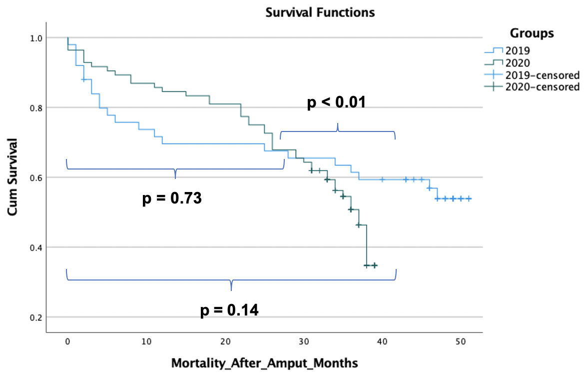 Diseases 12 00133 g002