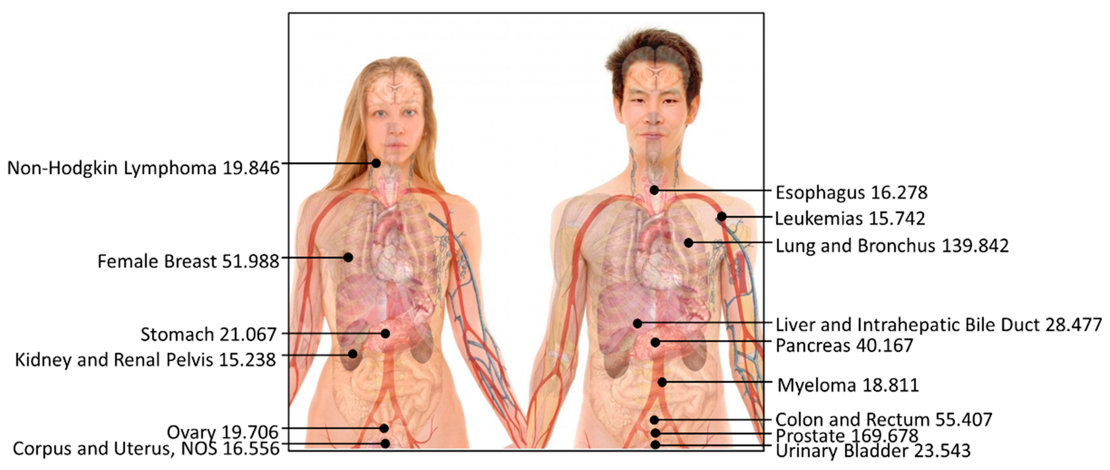 Diseases 12 00139 g005