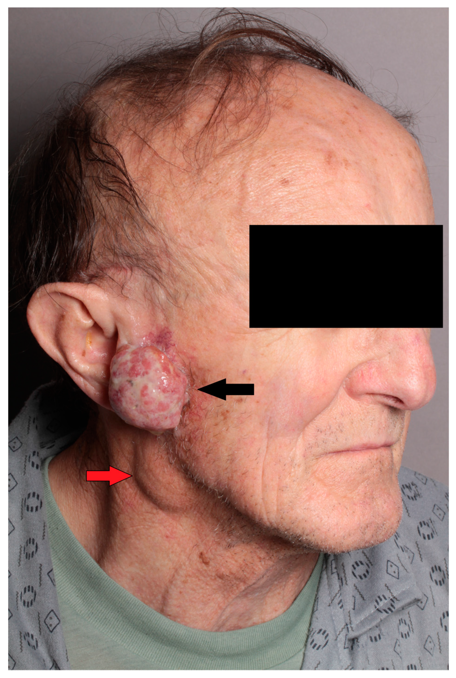 Diseases 12 00140 g001