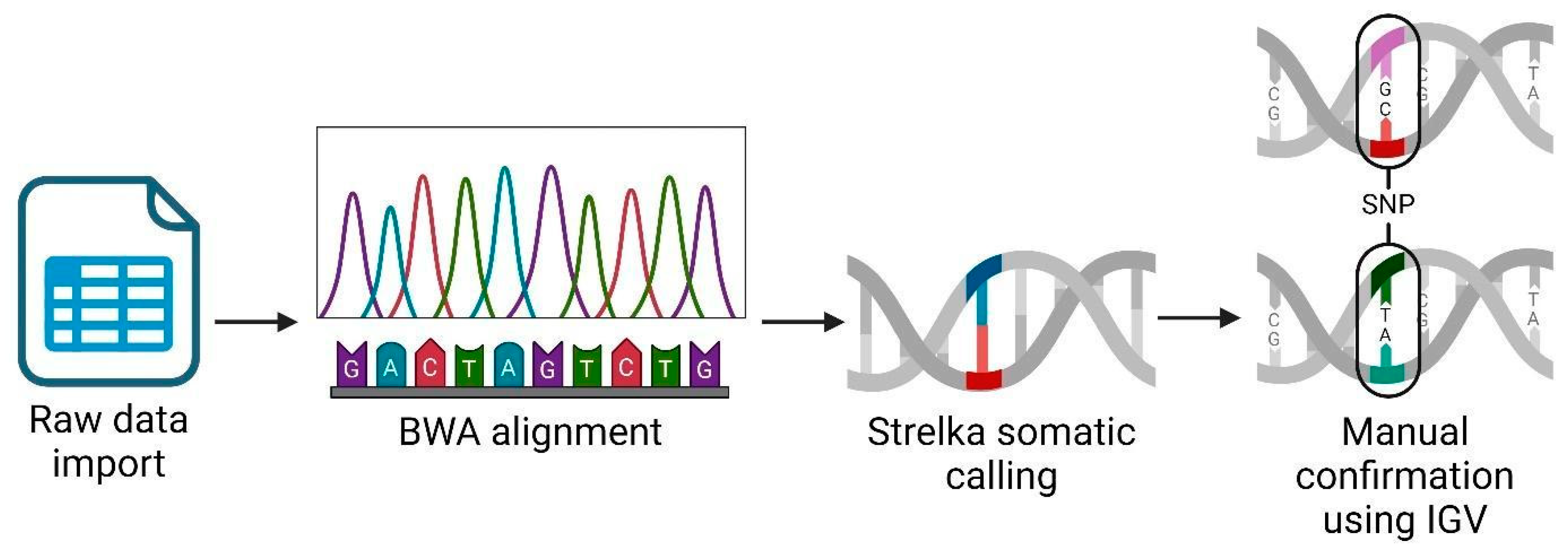 Diseases 12 00149 g001