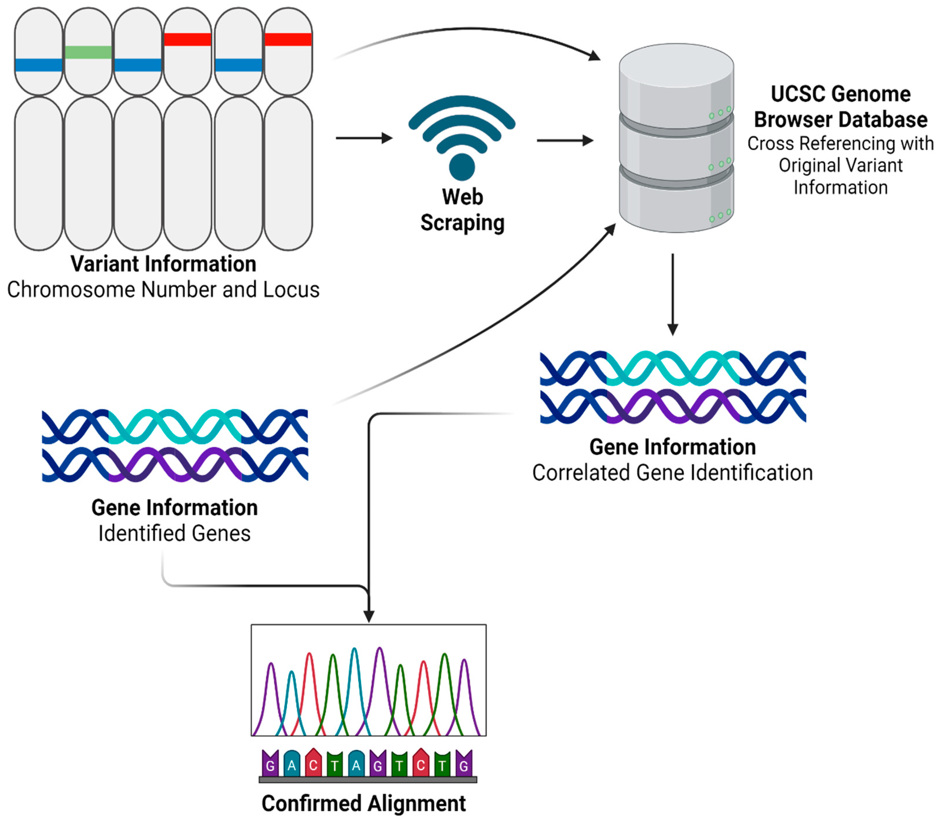 Diseases 12 00149 g002