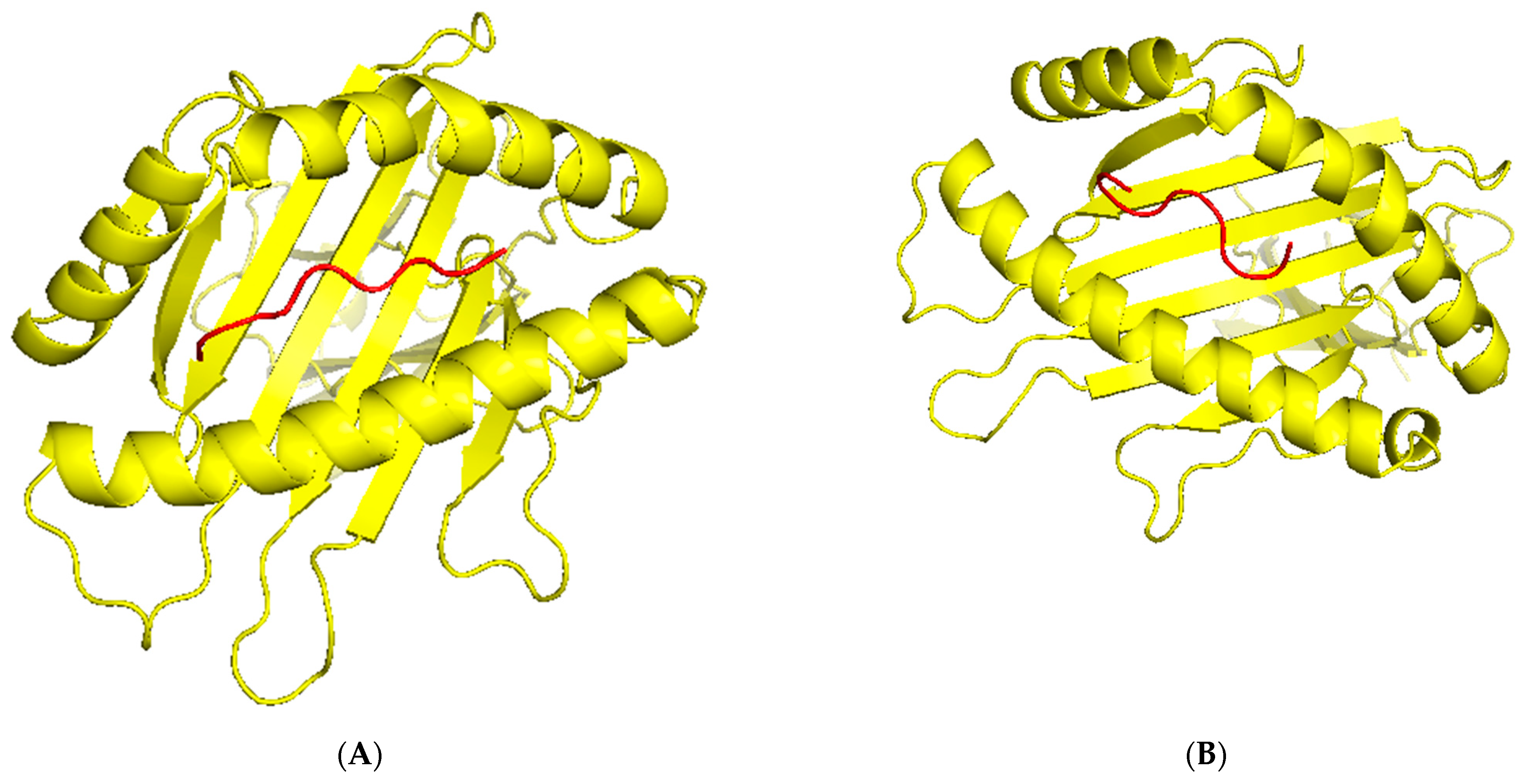 Diseases 12 00149 g004