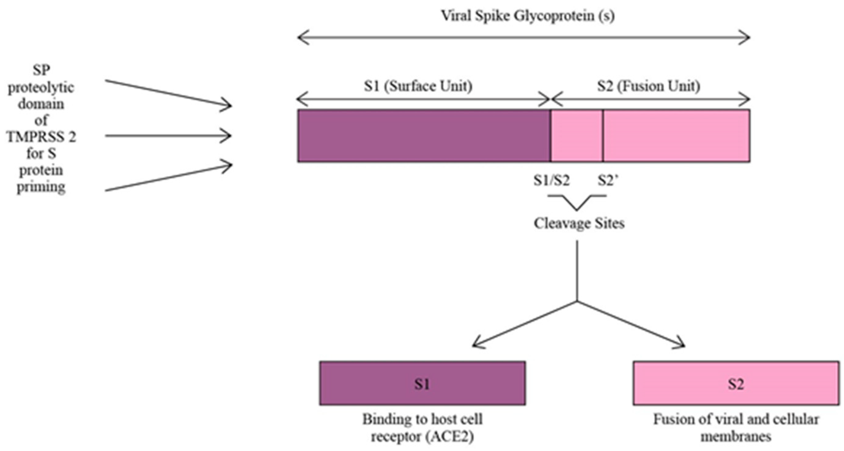 Diseases 12 00157 g003