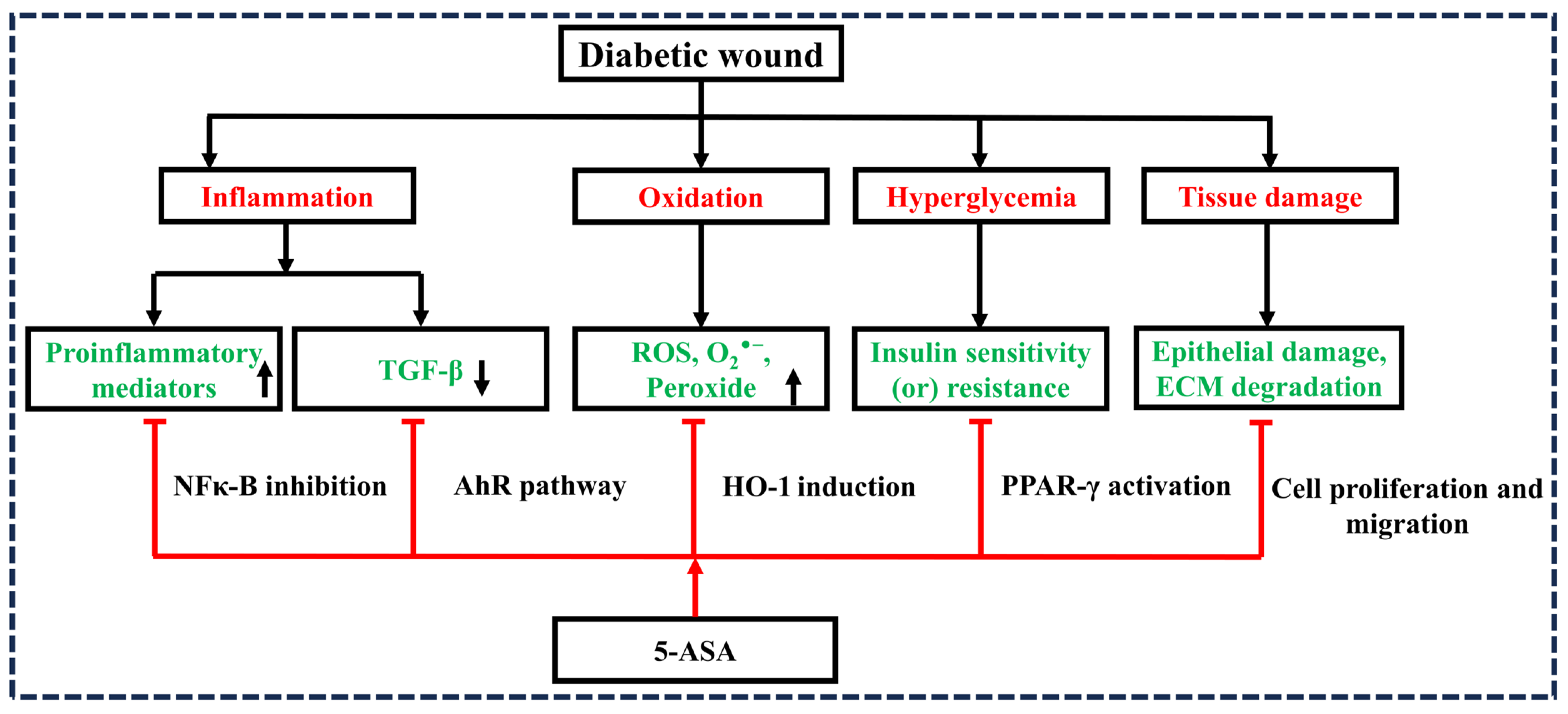 Diseases 12 00172 g001