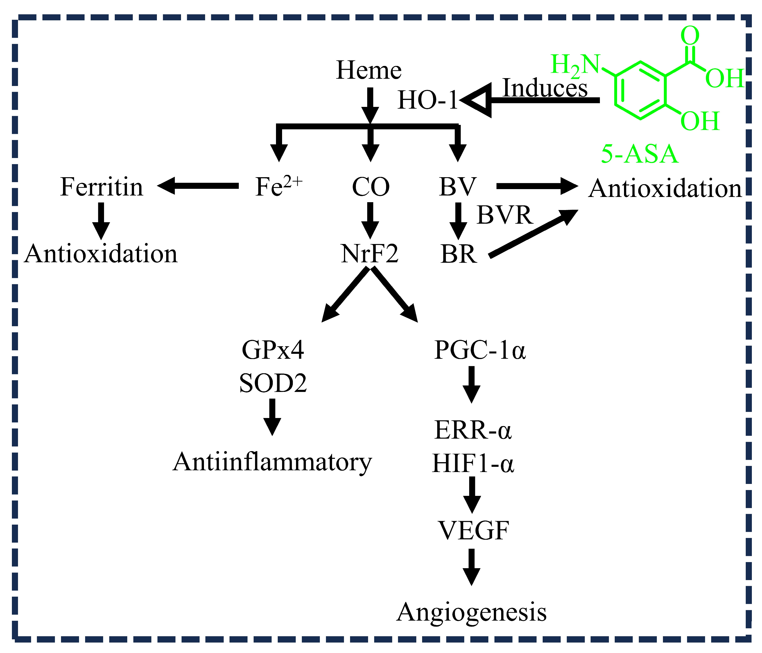 Diseases 12 00172 g003