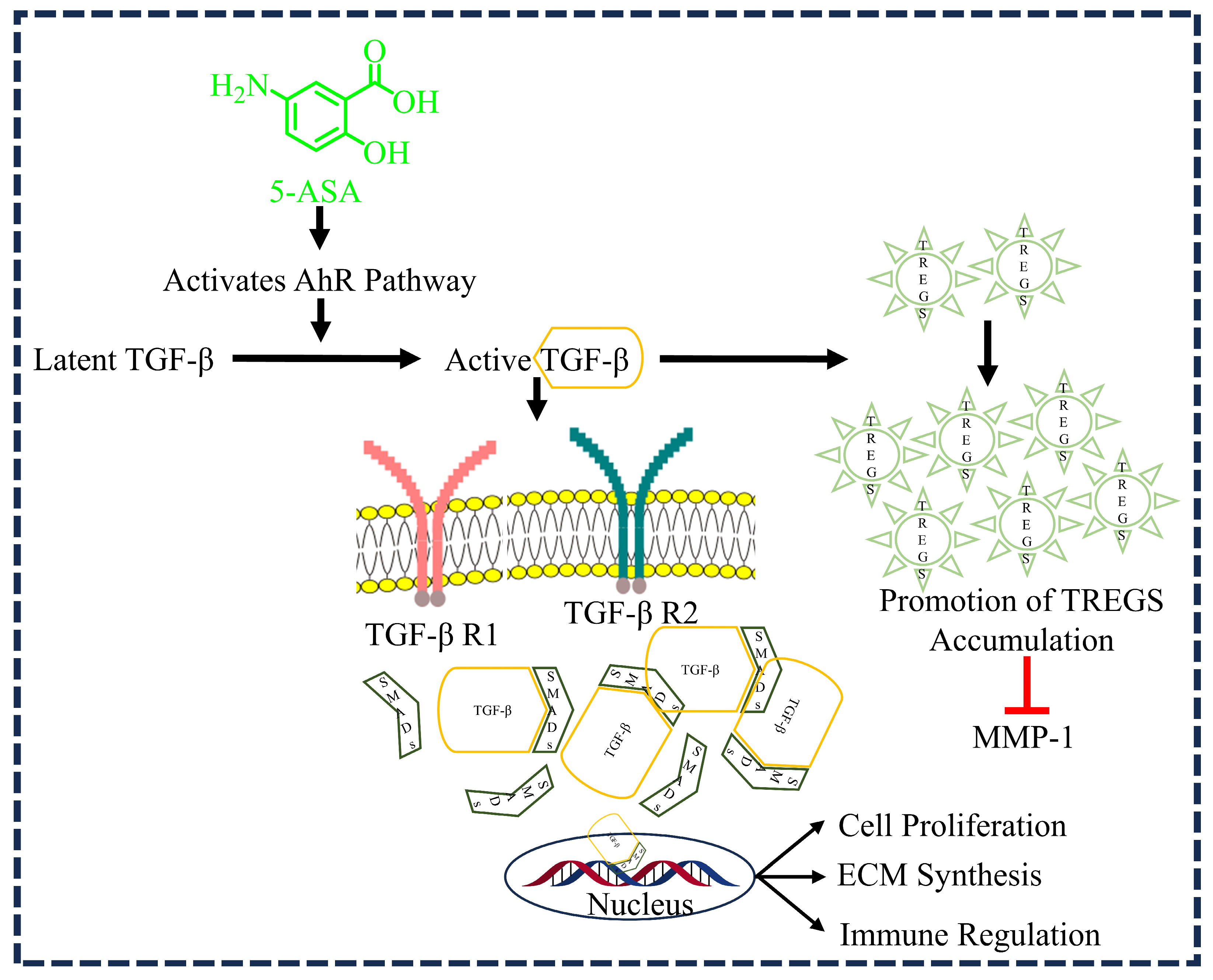 Diseases 12 00172 g004