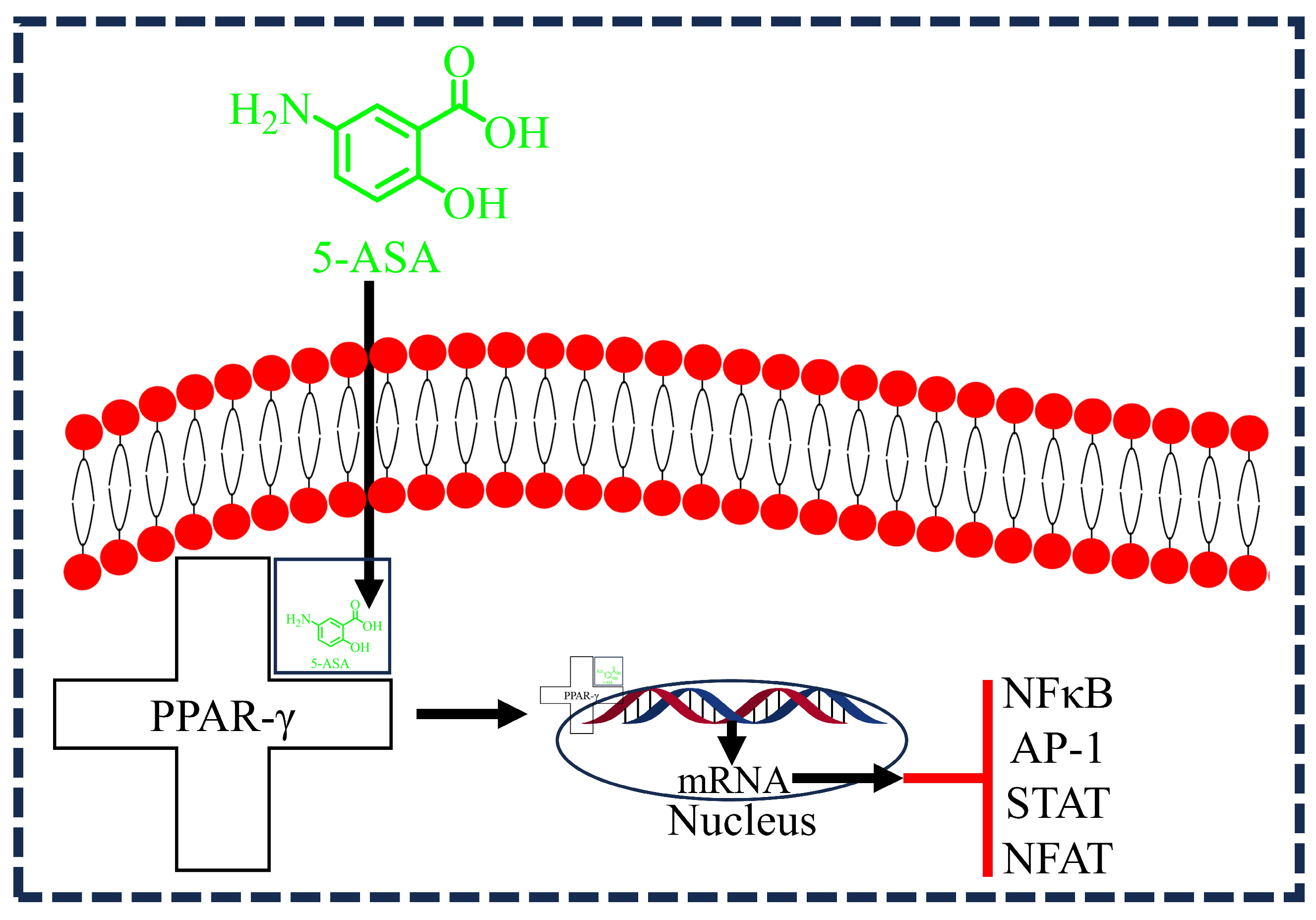 Diseases 12 00172 g005