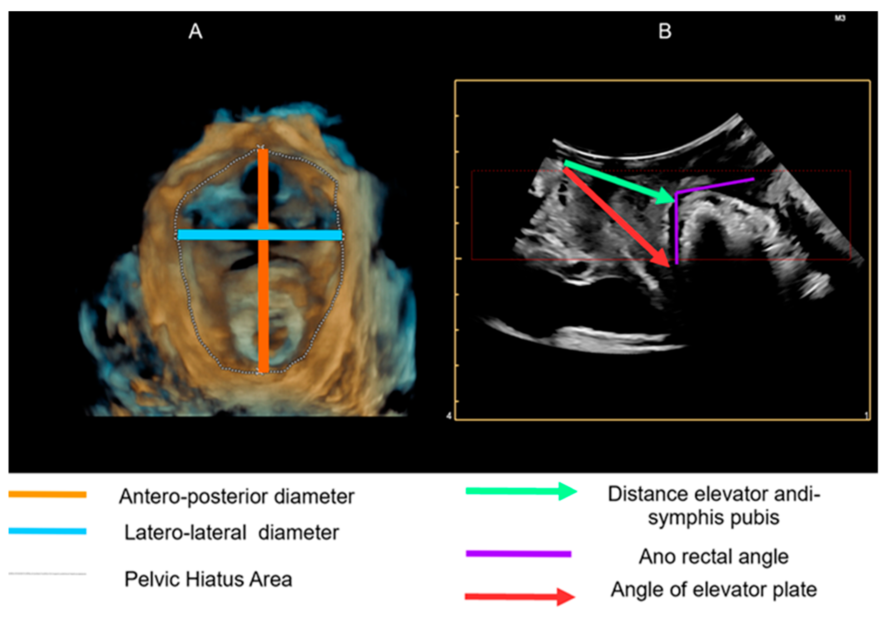Diseases 12 00174 g001