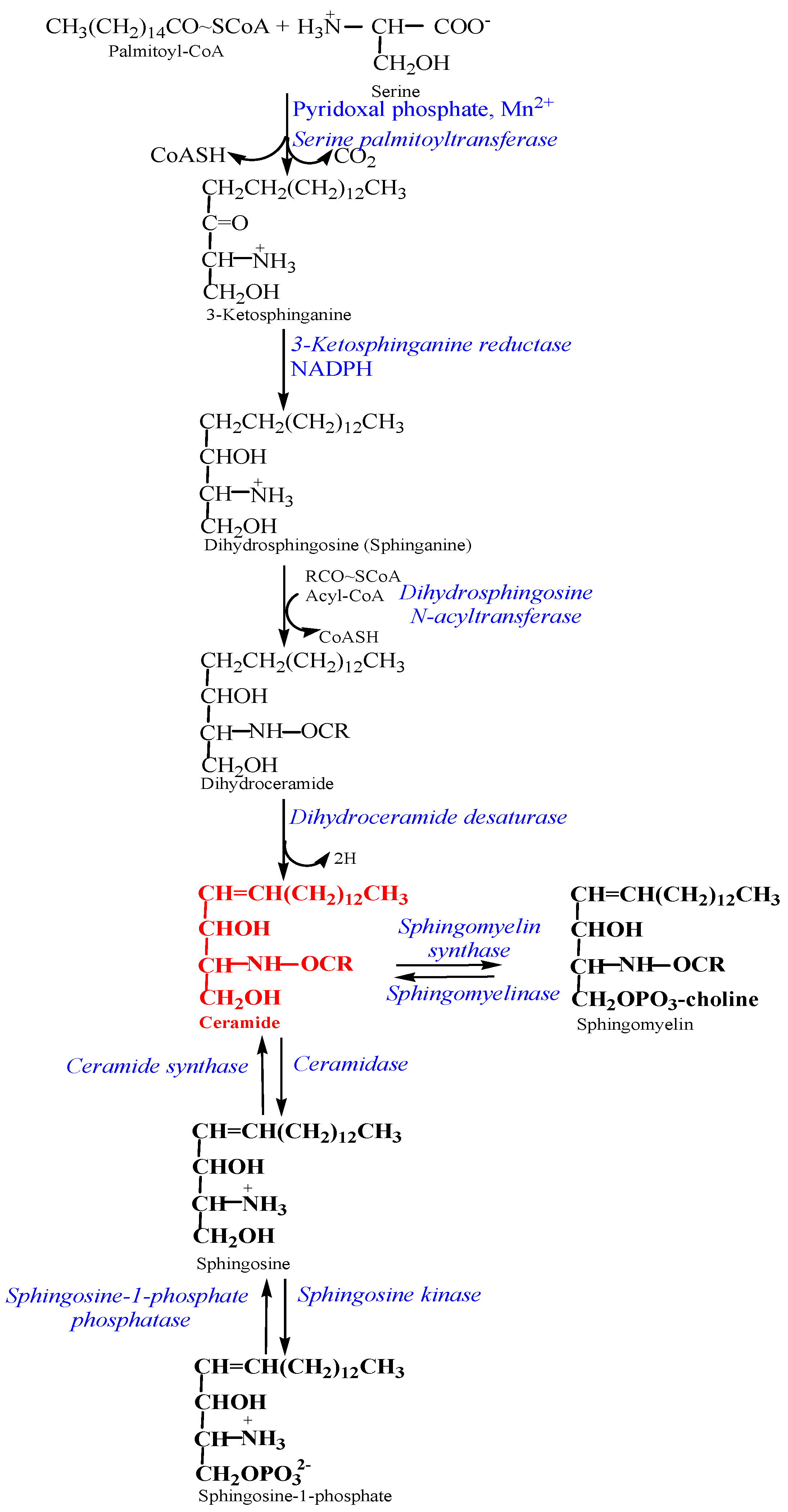 Diseases 12 00195 g001 Diseases 12 00195 g001