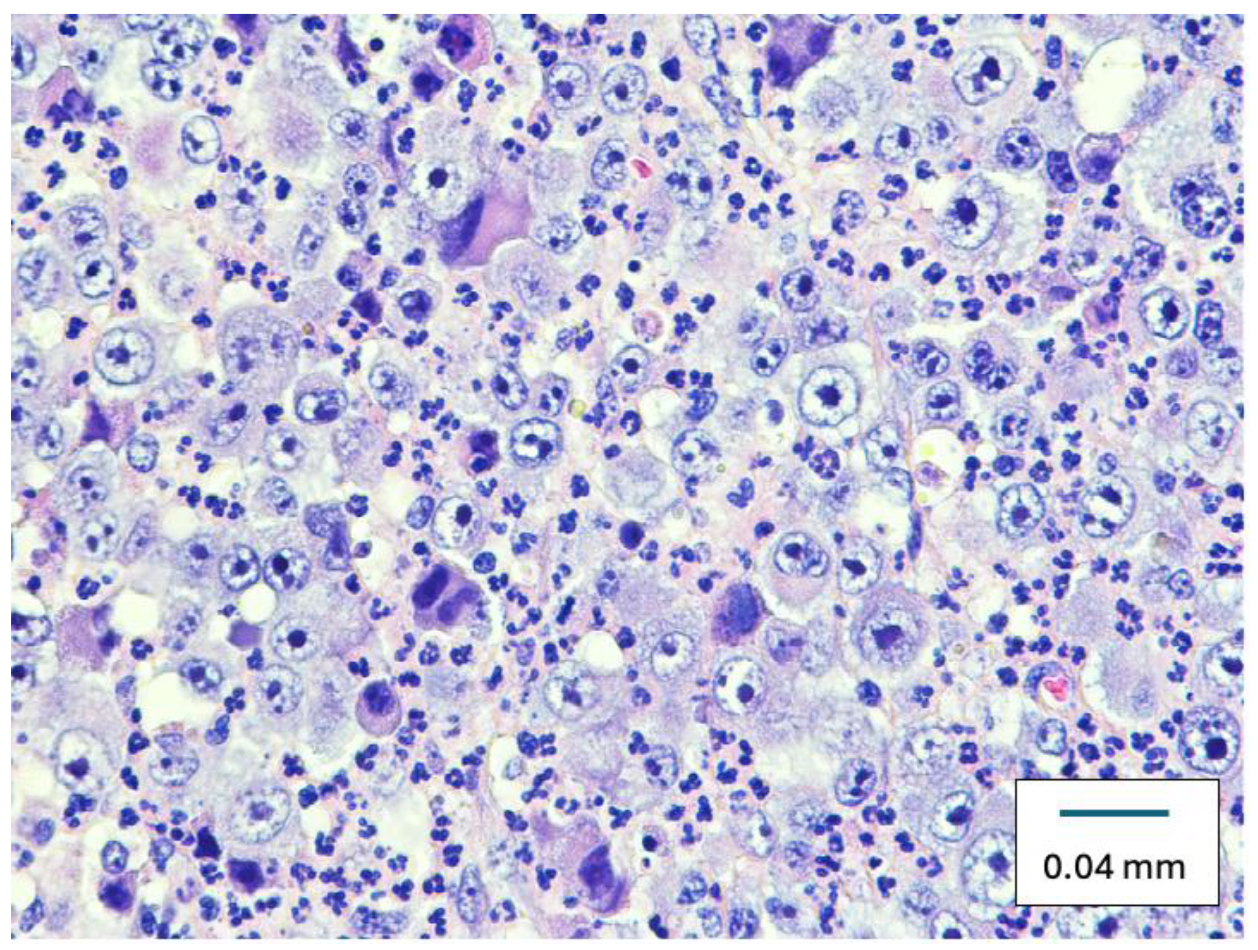 Diseases 12 00196 g002