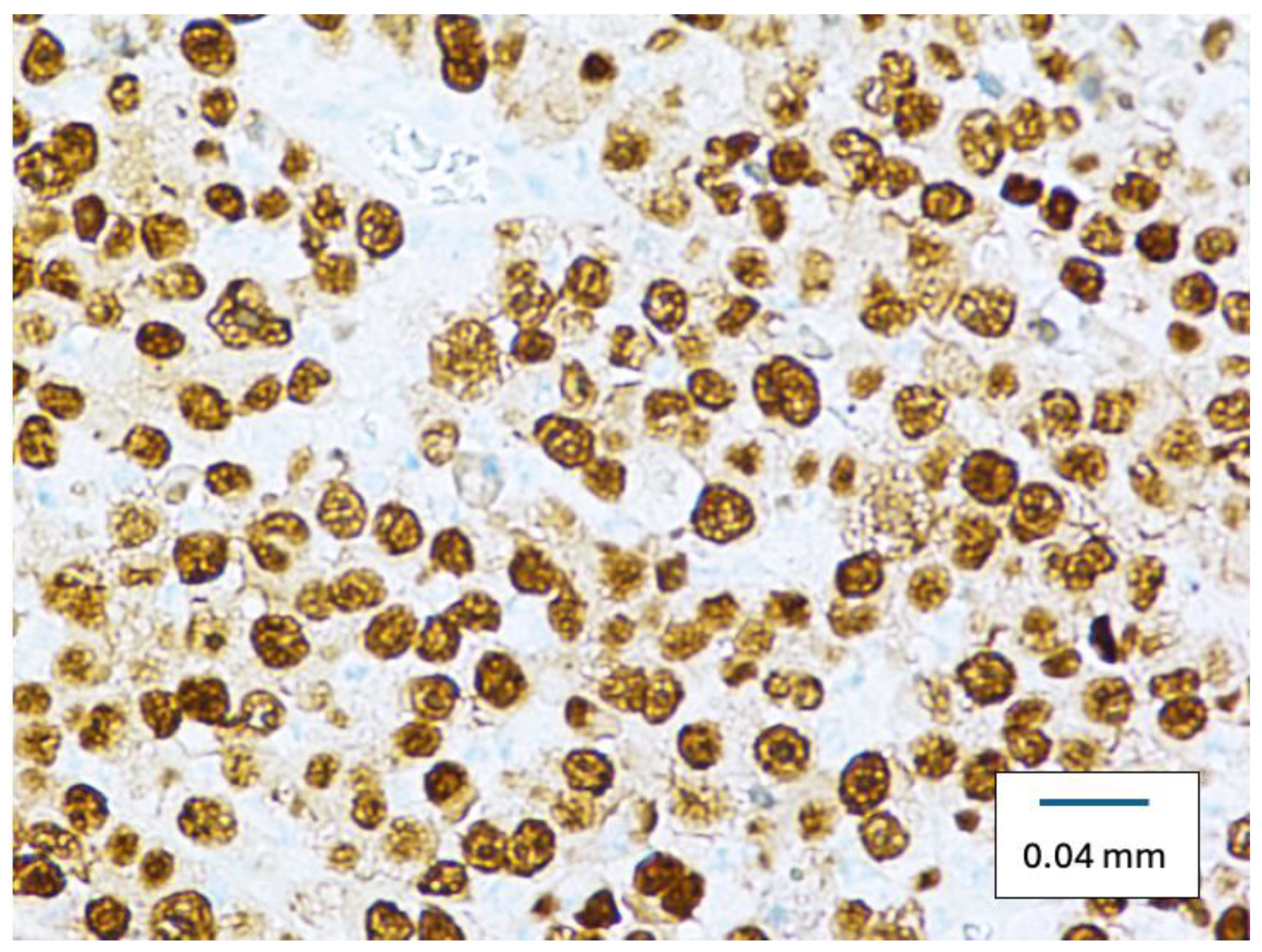 Diseases 12 00196 g003