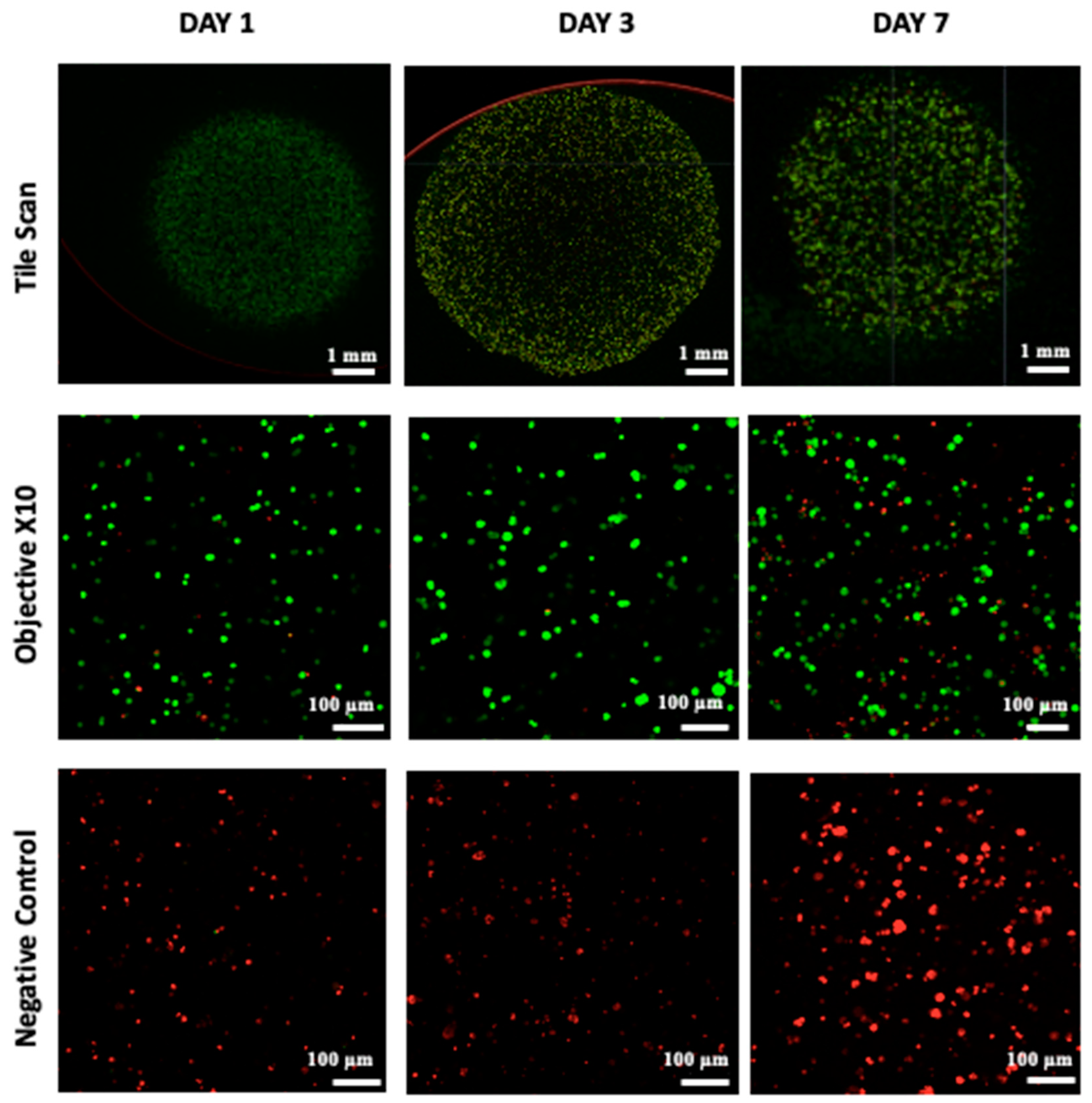 Diseases 12 00206 g004