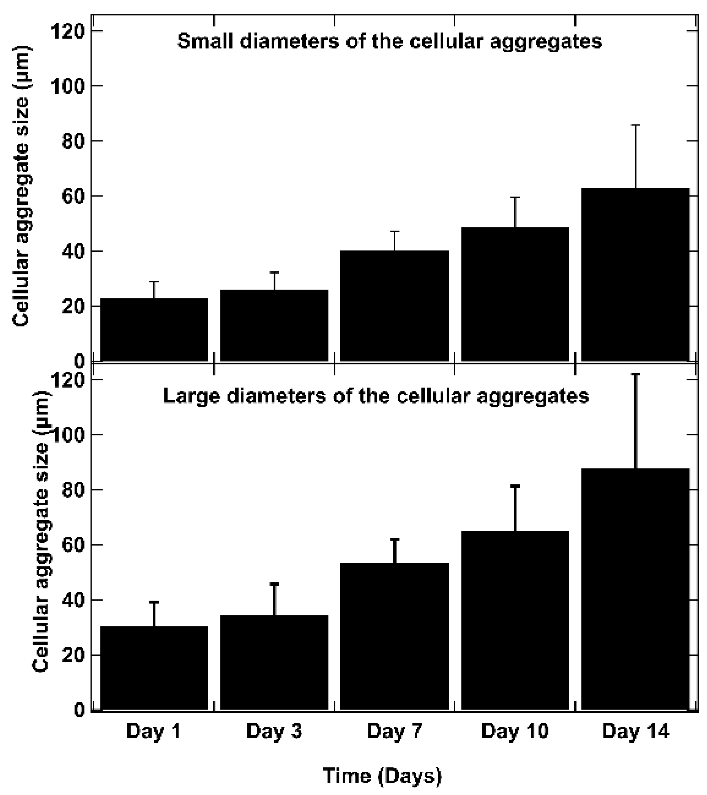 Diseases 12 00206 g007