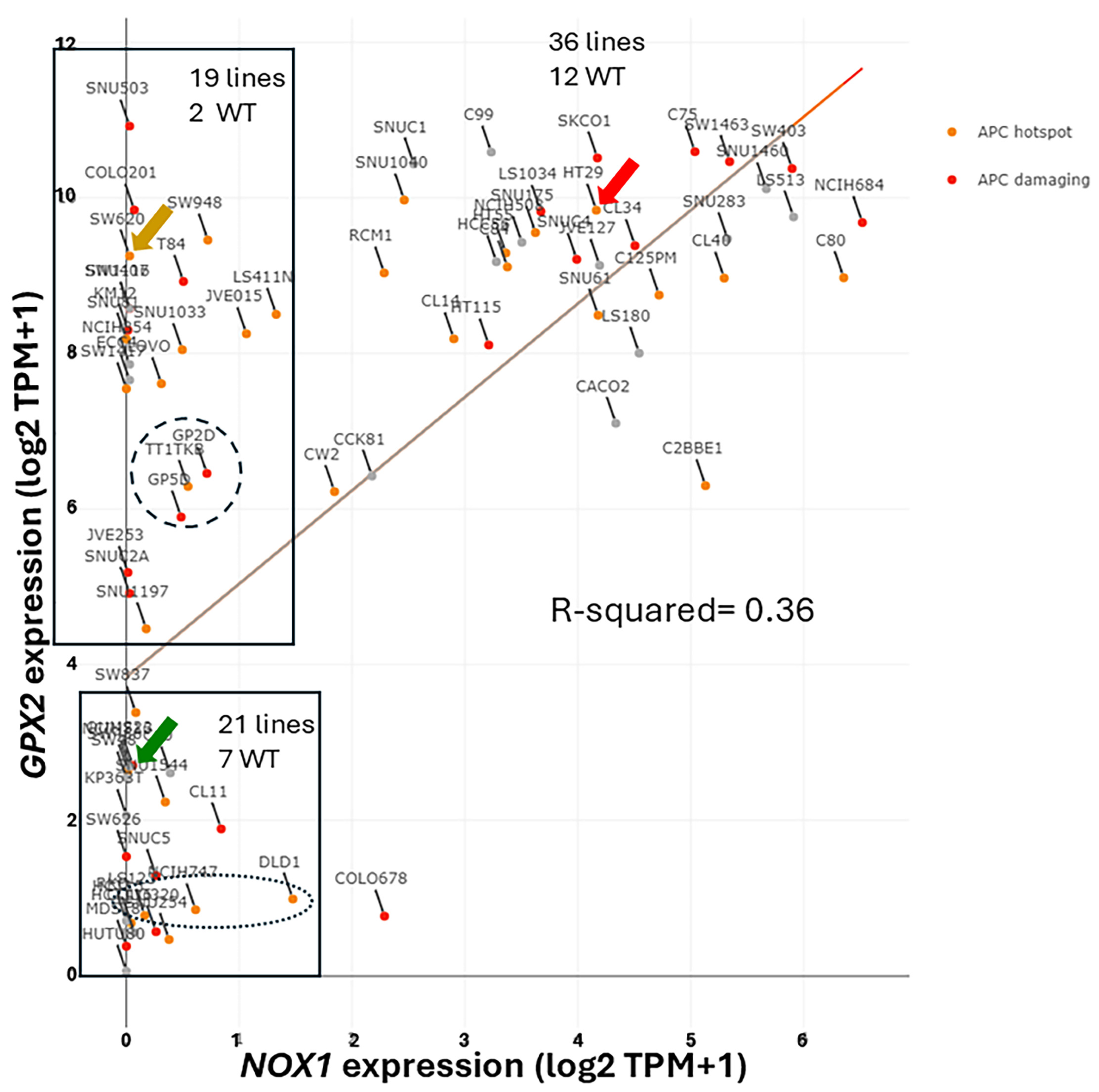 Diseases 12 00207 g005 Diseases 12 00207 g005