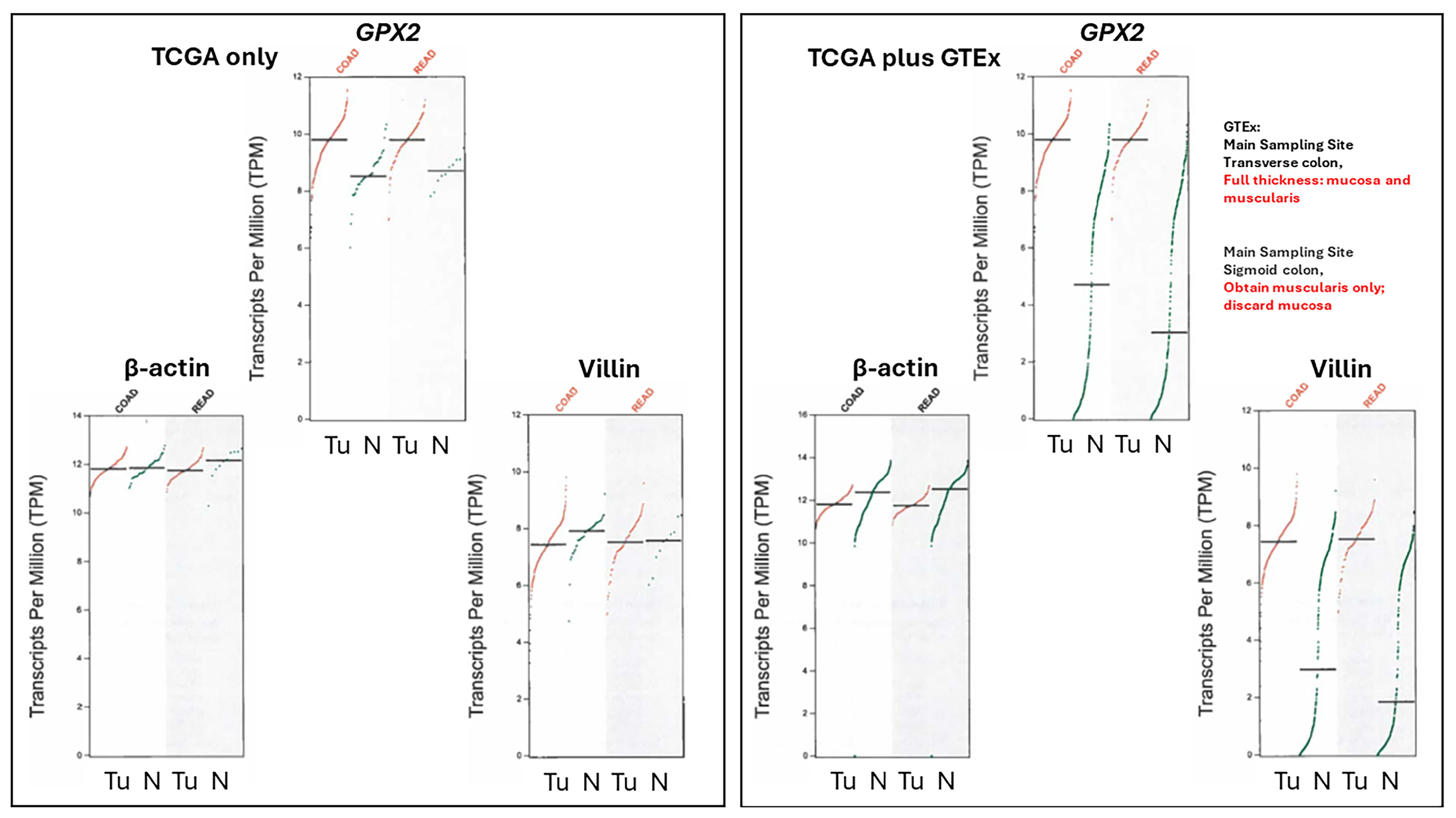 Diseases 12 00207 g006 Diseases 12 00207 g006