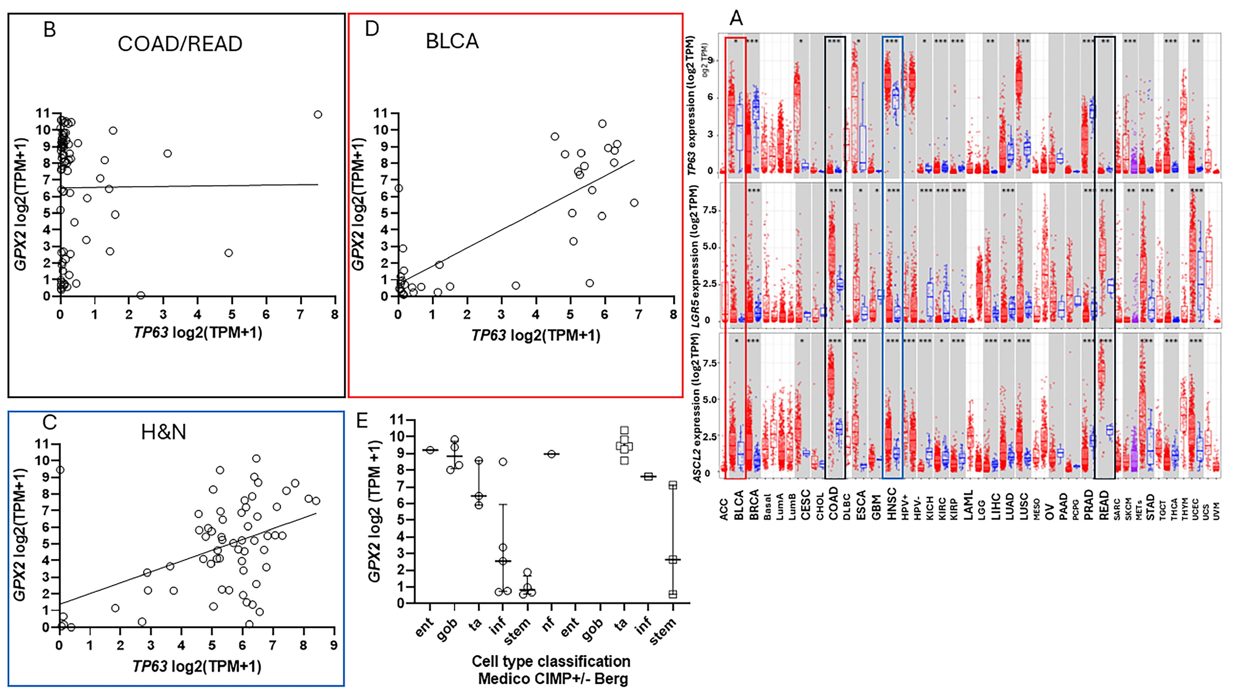 Diseases 12 00207 g010 Diseases 12 00207 g010