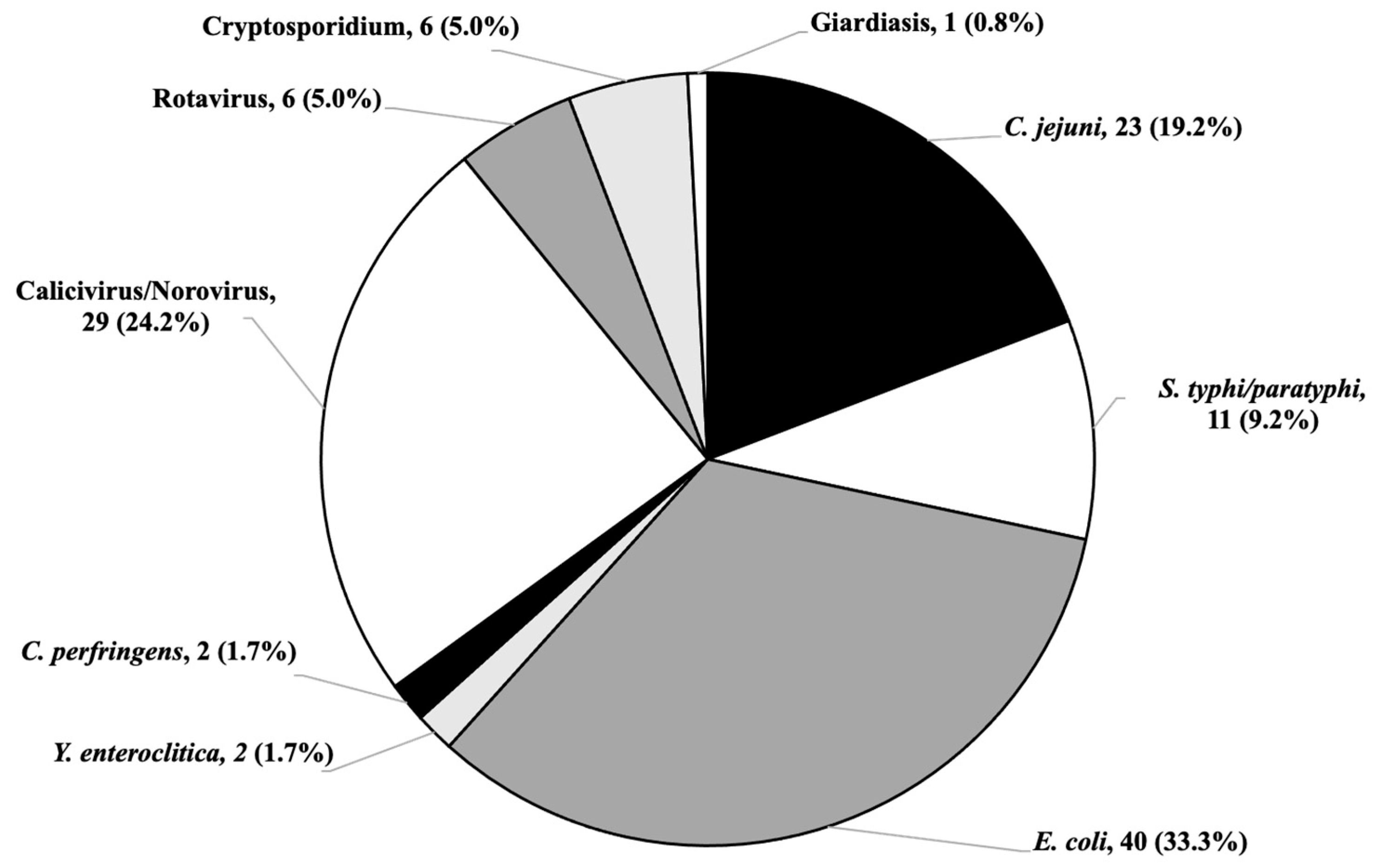 Diseases 12 00213 g002